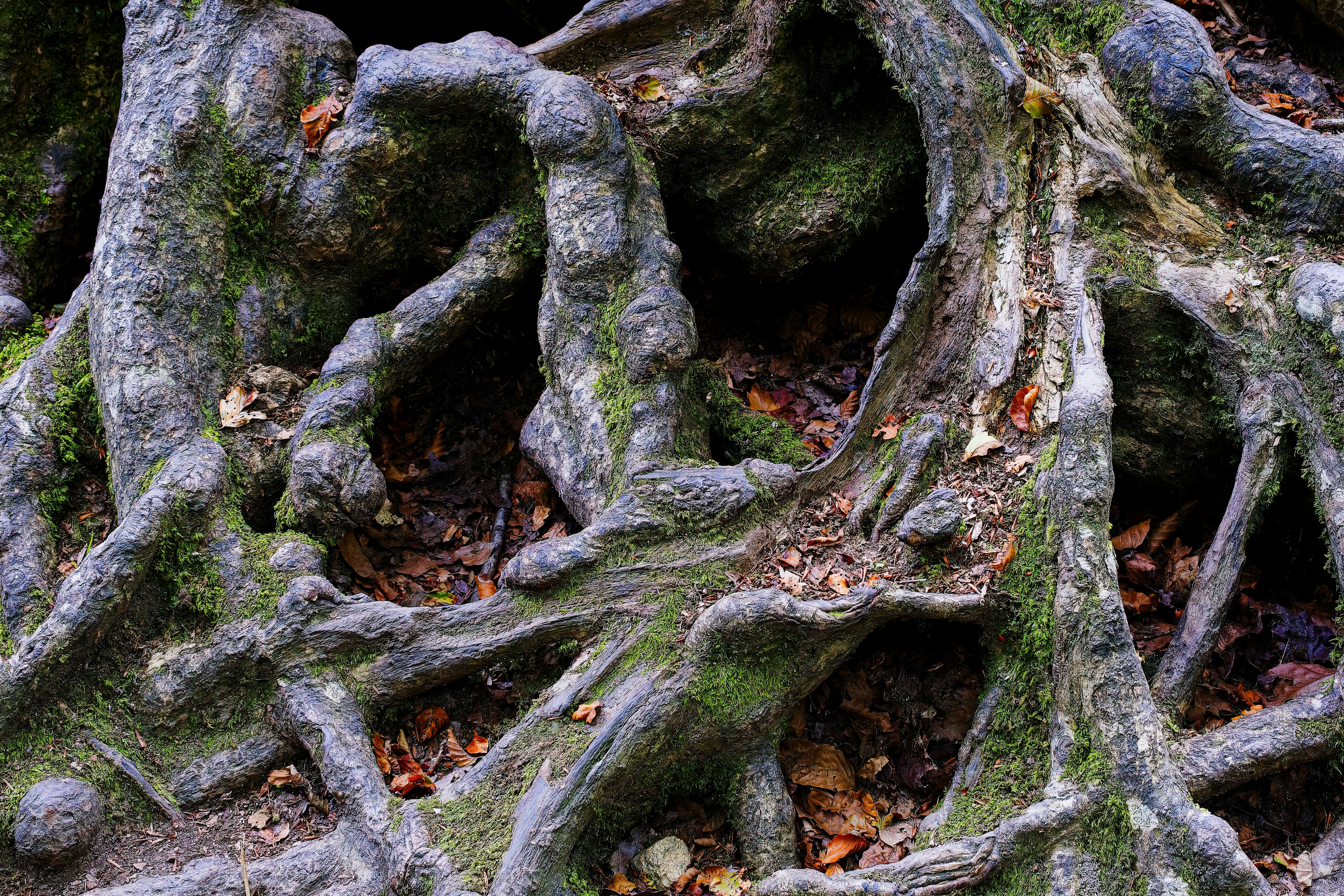 Construyendo Ecosistemas de IA Estables con un Origen de Significado Compartido