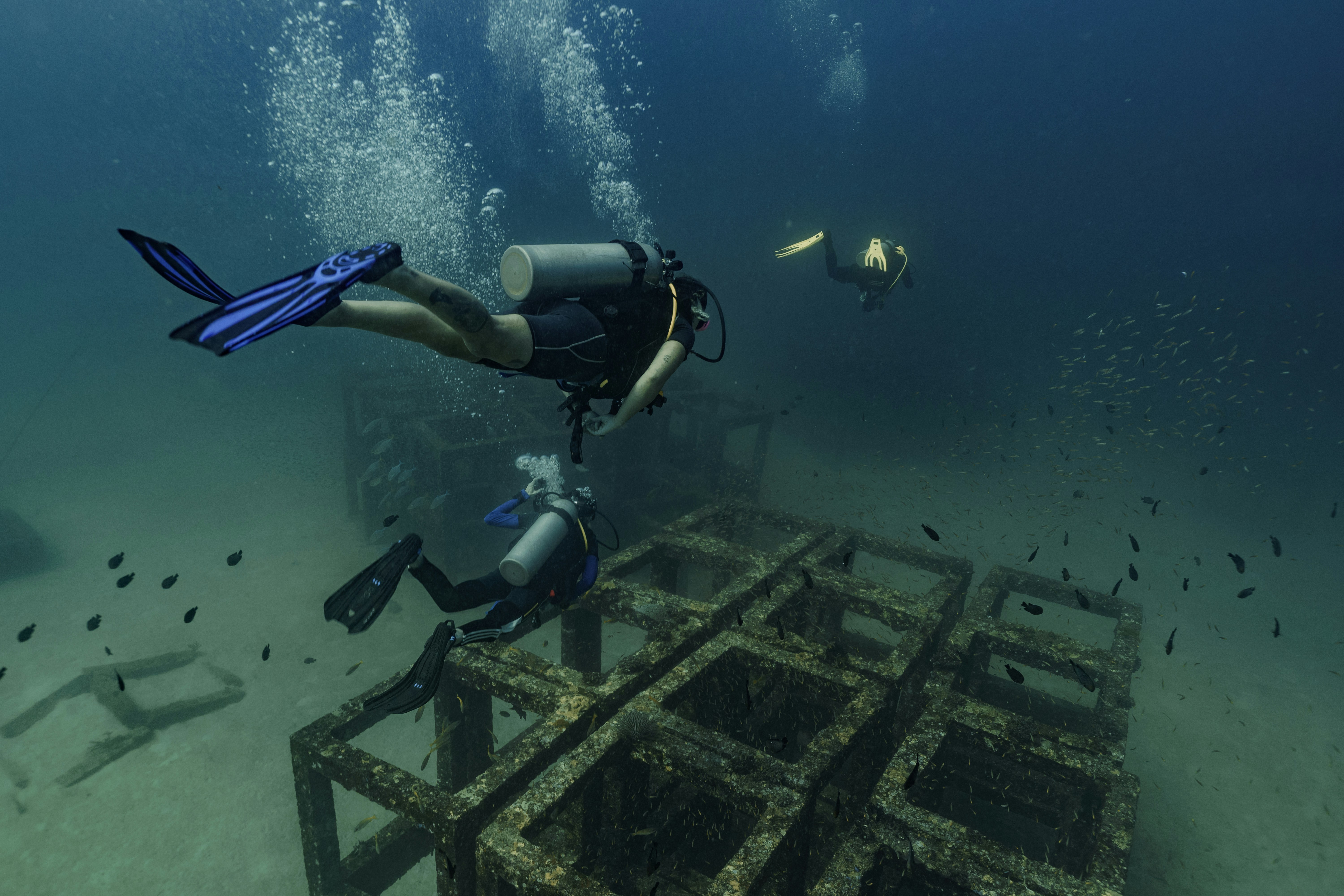 Construyendo un Emparejador de Arqueología: Una Inmersión Profunda (Literal) en la Búsqueda Vectorial Multimodal