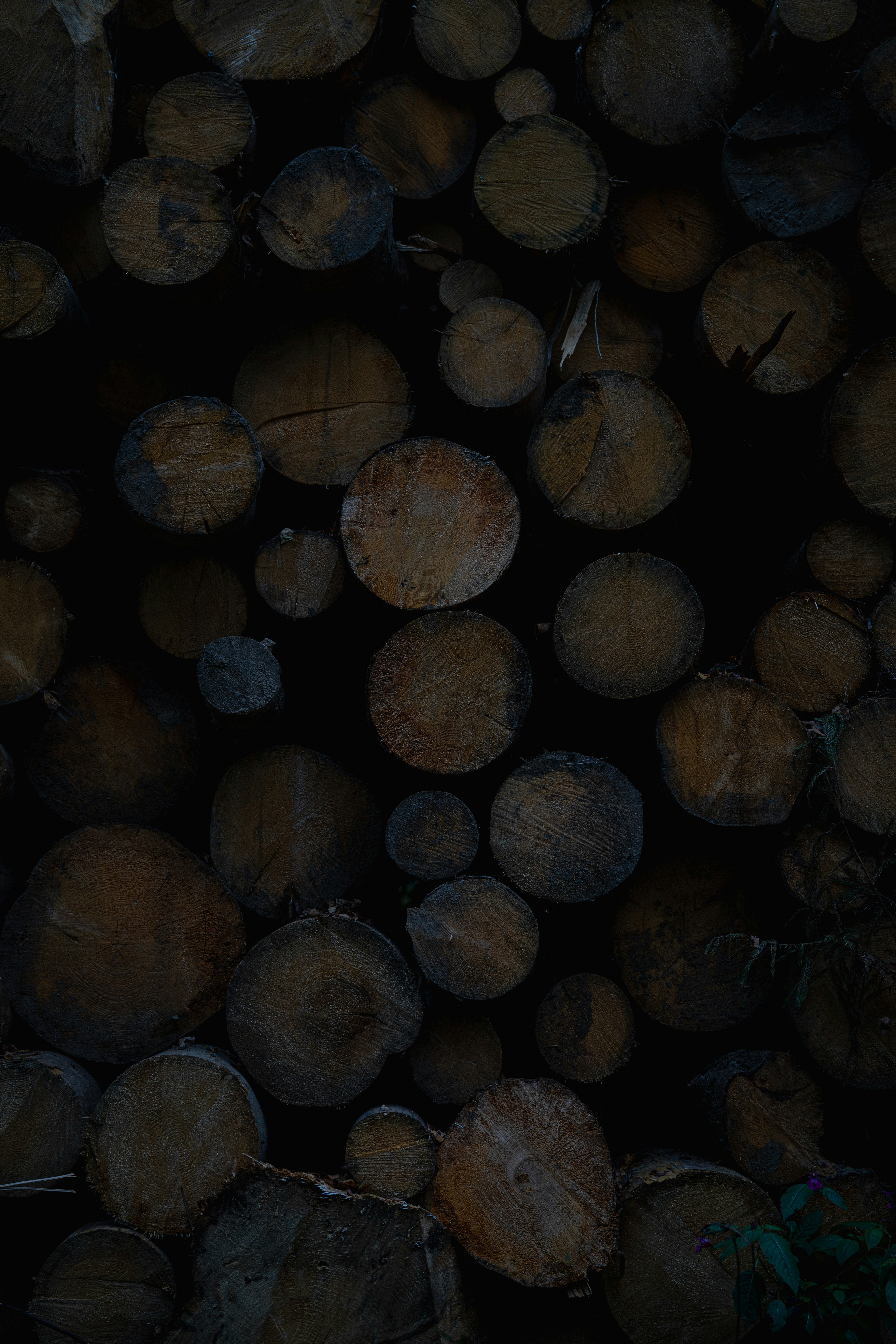 Pregunta a tus registros cualquier cosa: Construyendo una interfaz conversacional con AWS Lambda y Bedrock