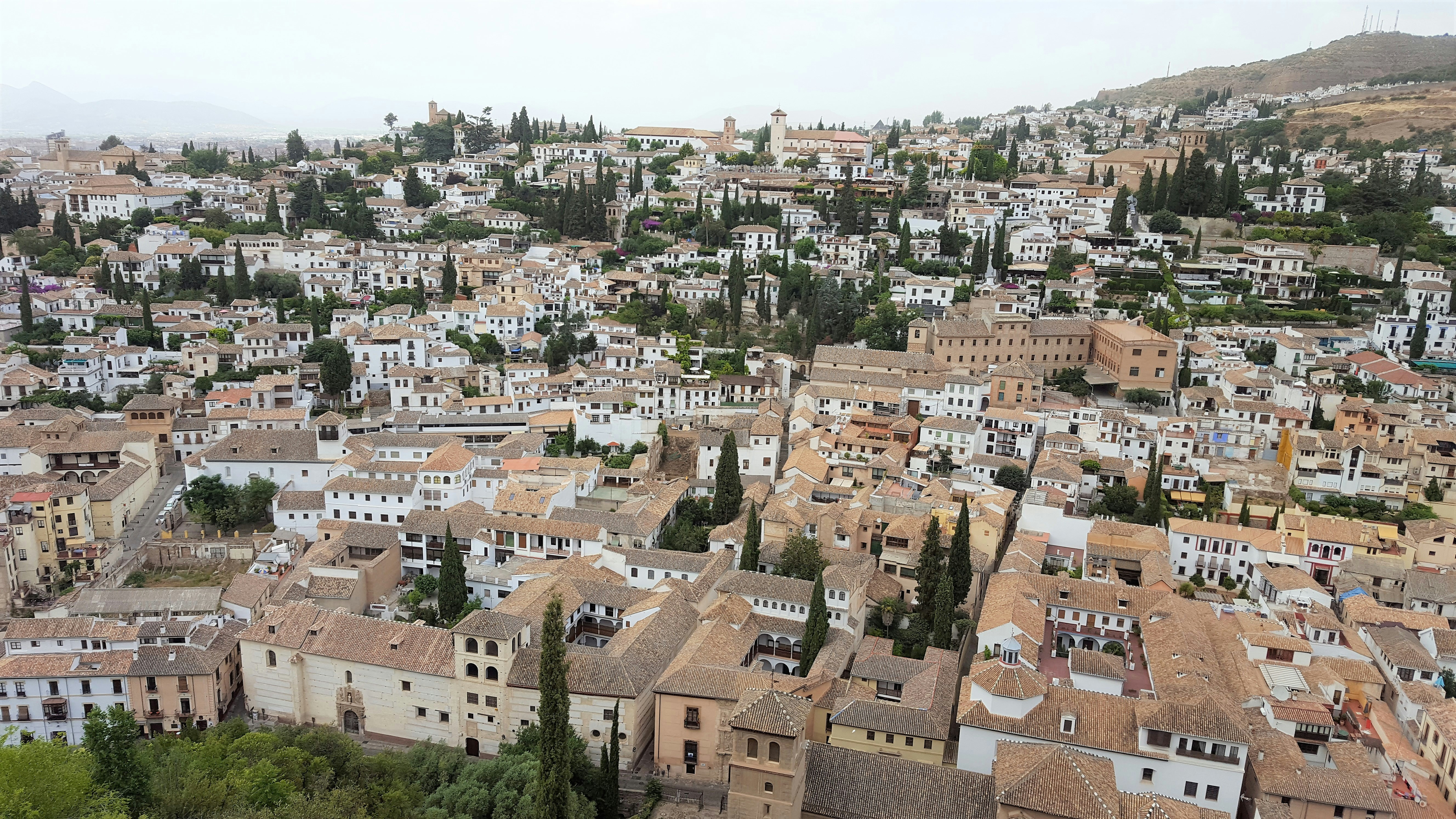 Socio oficial de seguimiento de IA para SLA en Granada: más de 15 años de experiencia