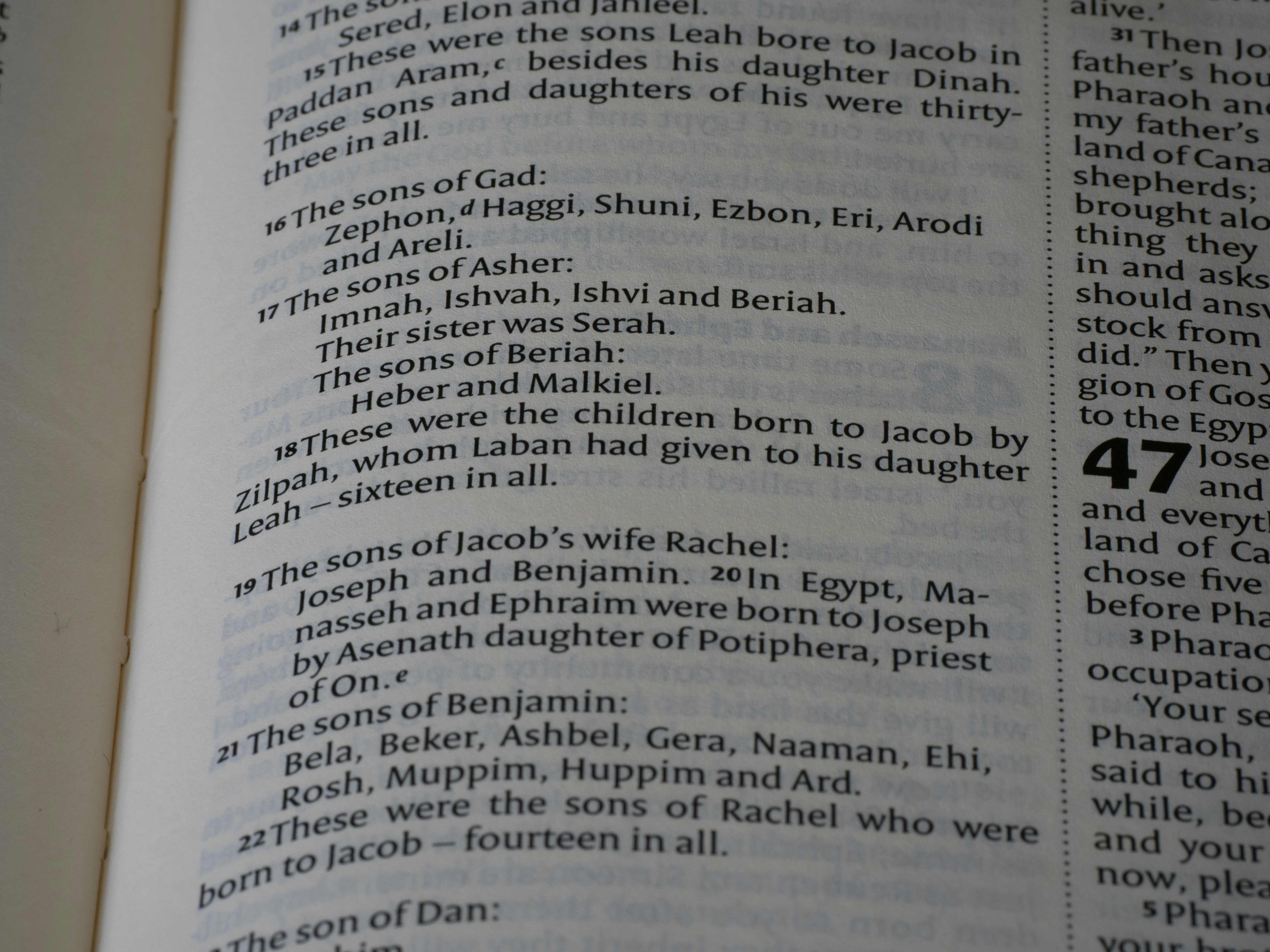 Un corpus de habla en devanagari para Nw\=ach\=a Mun\=a y un banco de pruebas de transferencia proximal para ASR en Nepal Bhasha