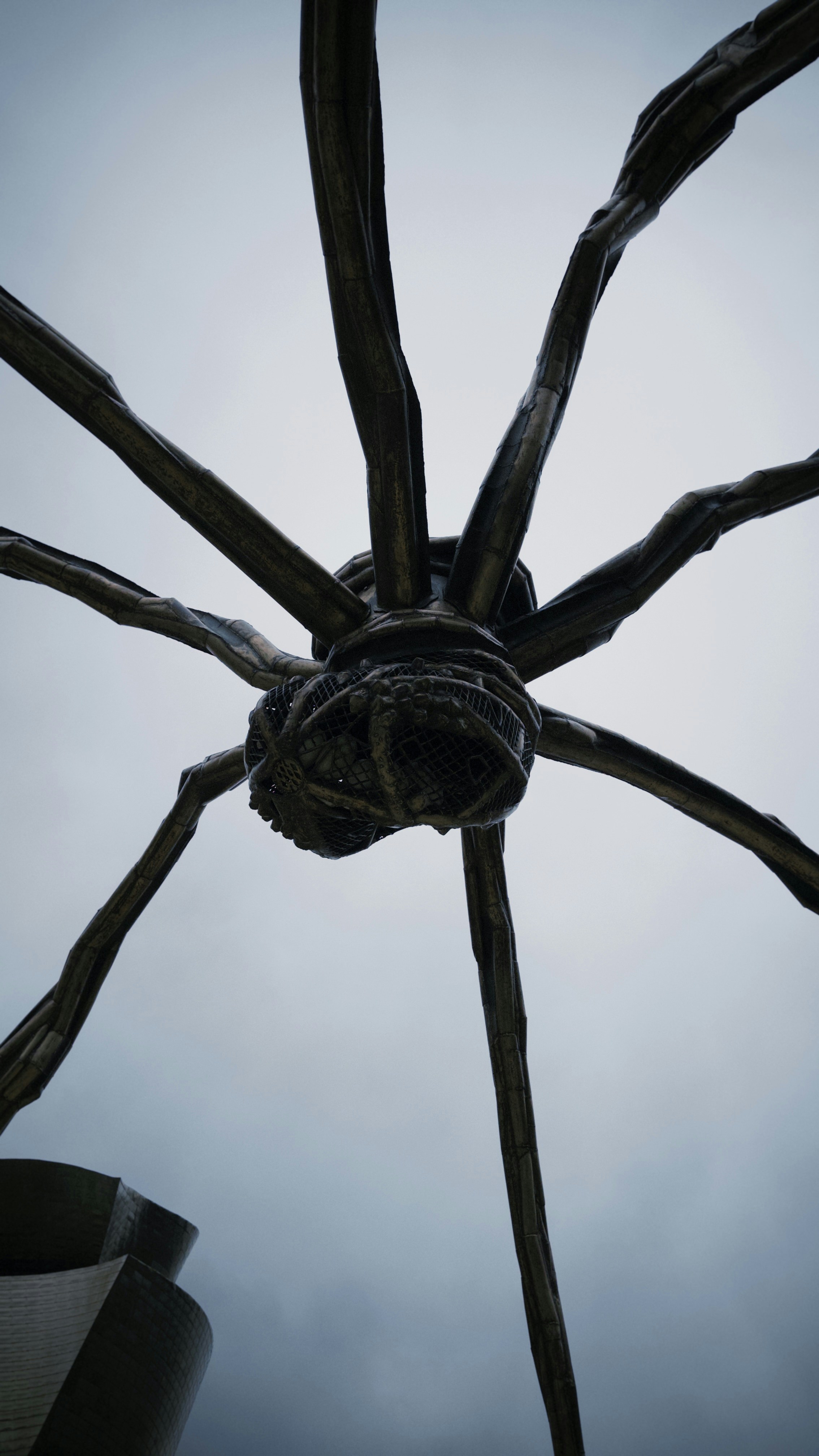 Desvelando el papel de la Red Oscura en el anti-dinero mexicano