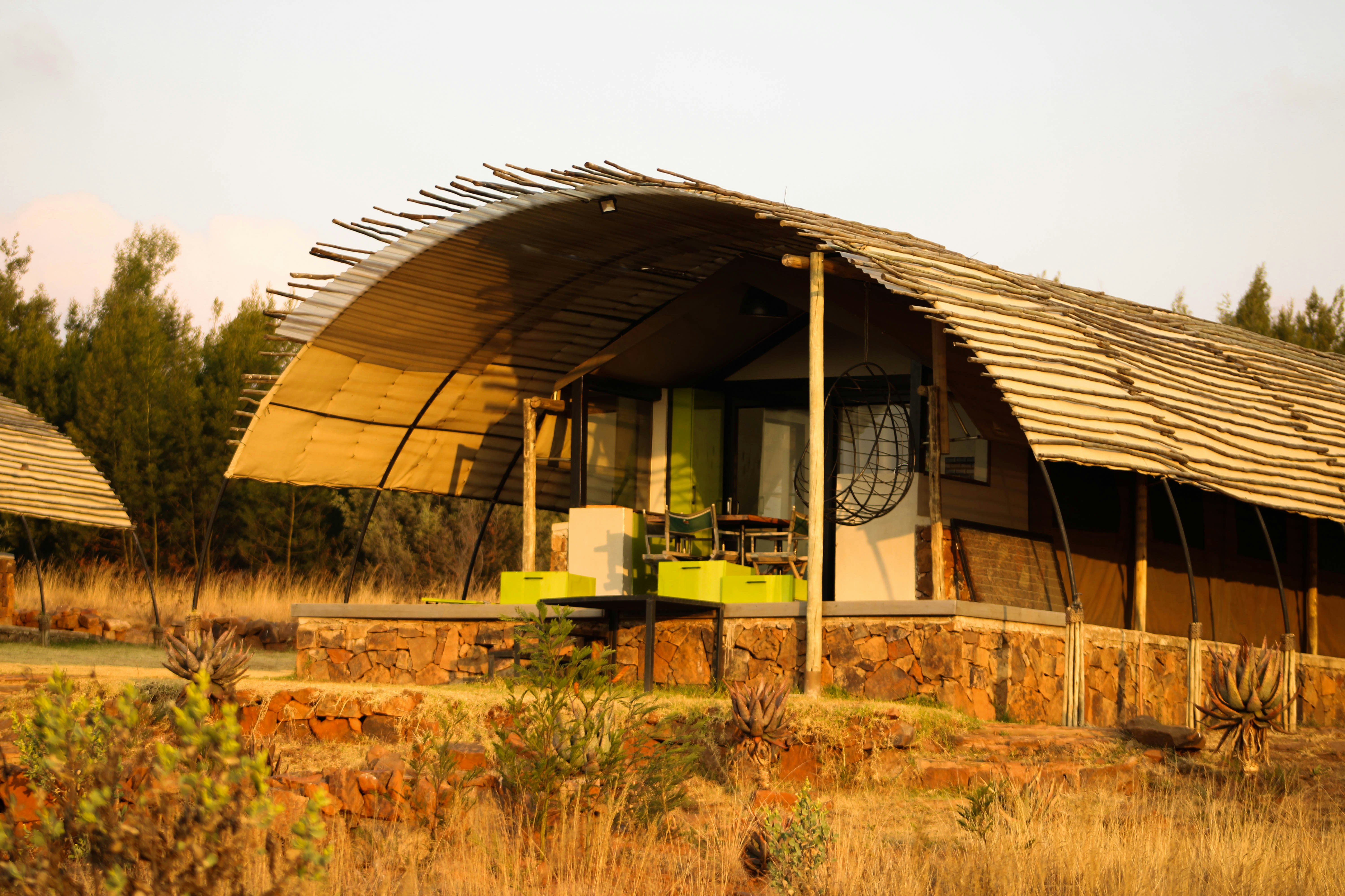 De Arquitecto a Constructor de Ecosistemas: Mi Viaje hacia Solana, NFTs y el Futuro de Web3