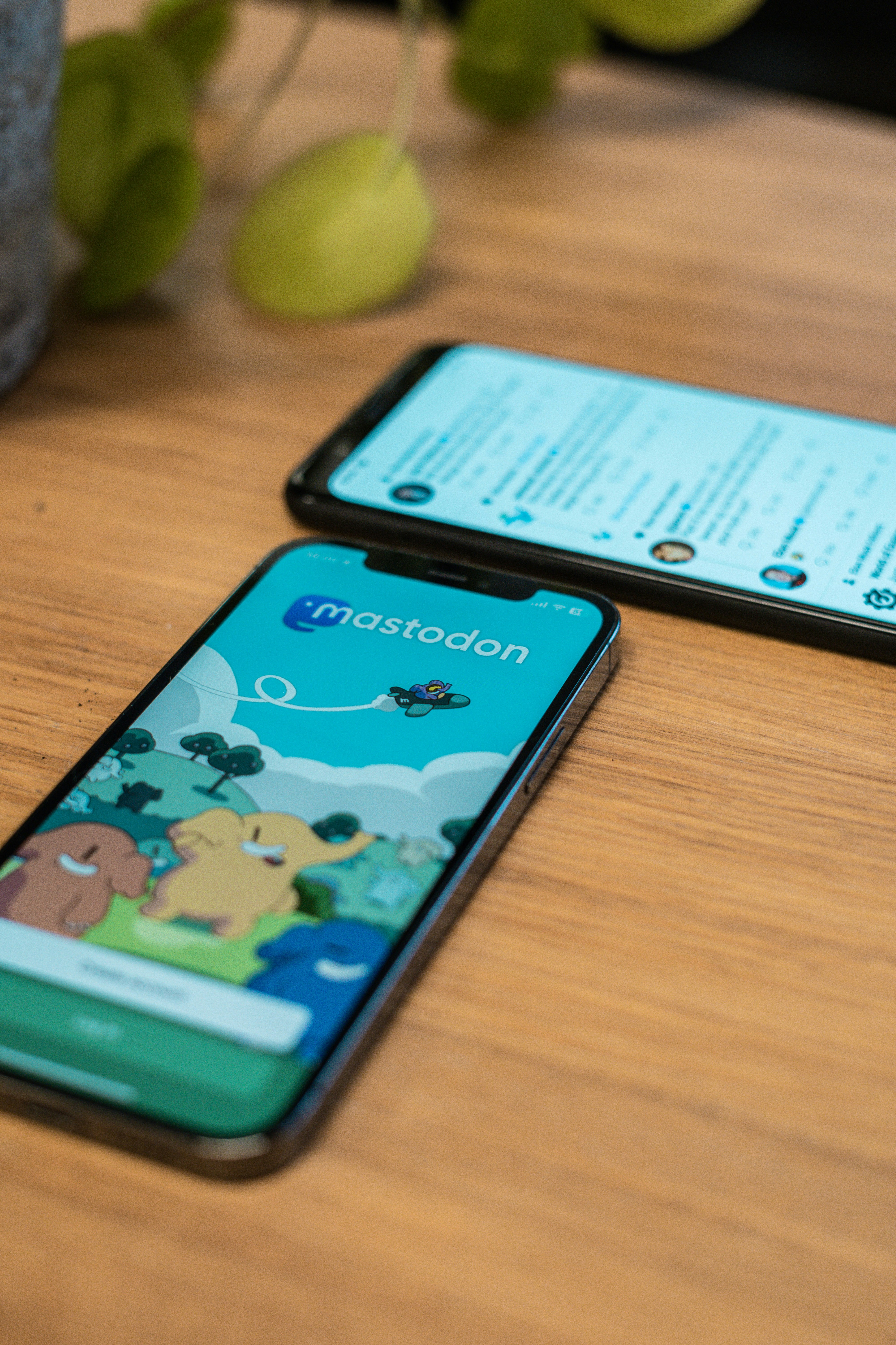 ¿Qué es la aplicación móvil multiplataforma personalizada?