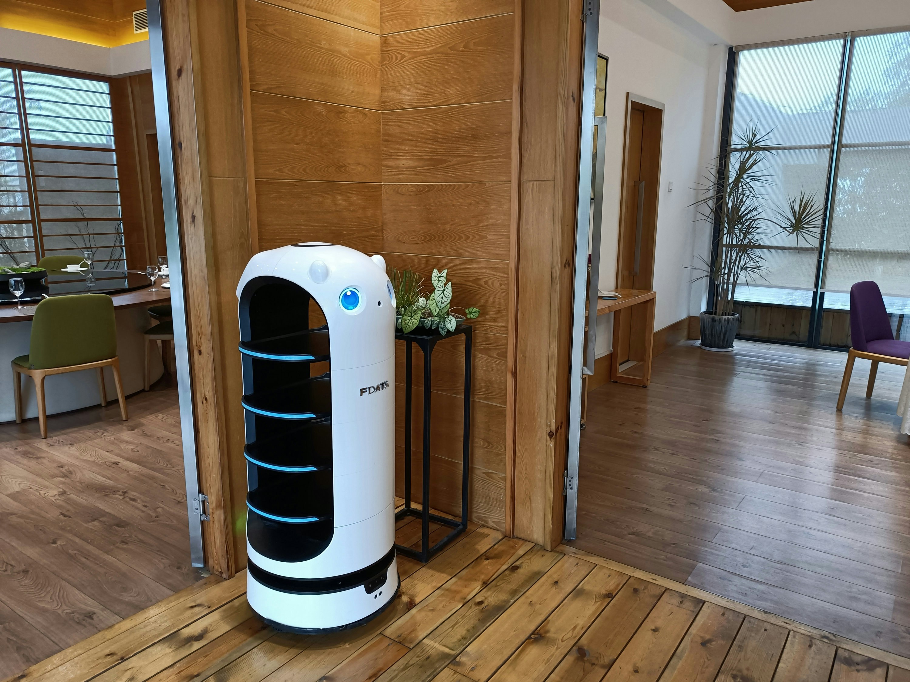 Definiendo la autonomía de robots de bienestar para mayores