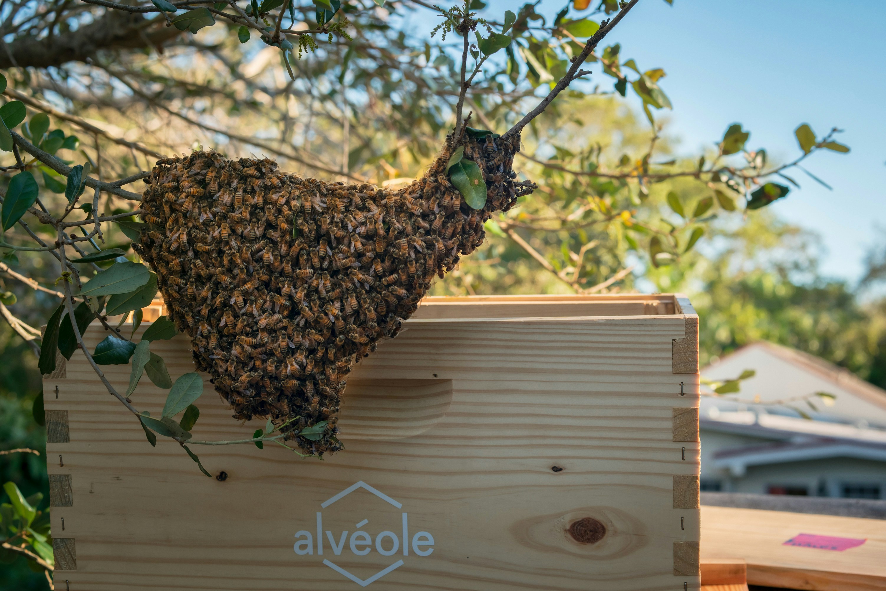 ¿Cómo puede el desarrollo de API personalizadas ofrecer un fuerte retorno de inversión?