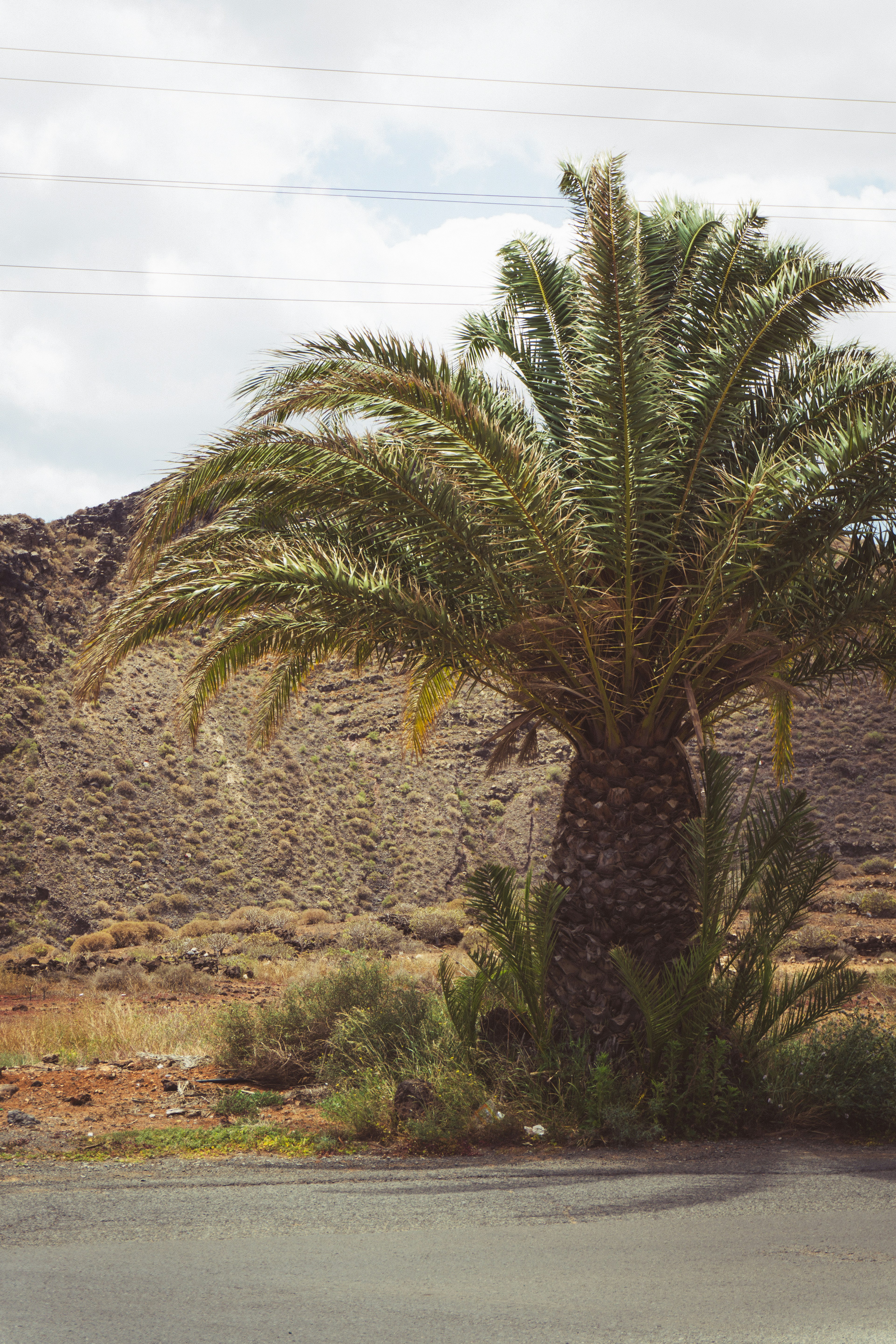 Desarrollo de software de planificación de producción en Las Palmas de Gran Canaria