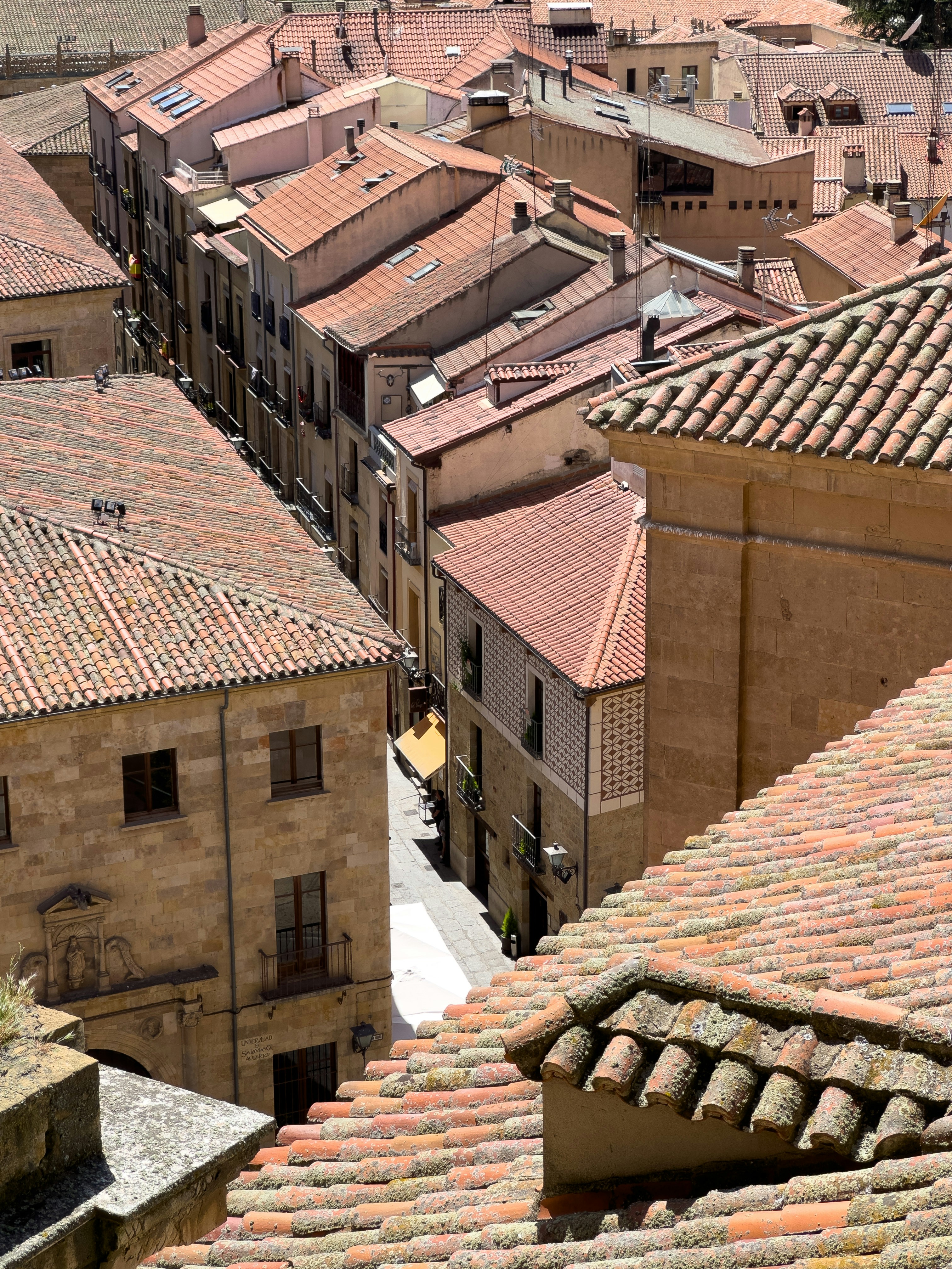 La guía definitiva para encontrar el desarrollo personalizado de SaaS en Salamanca