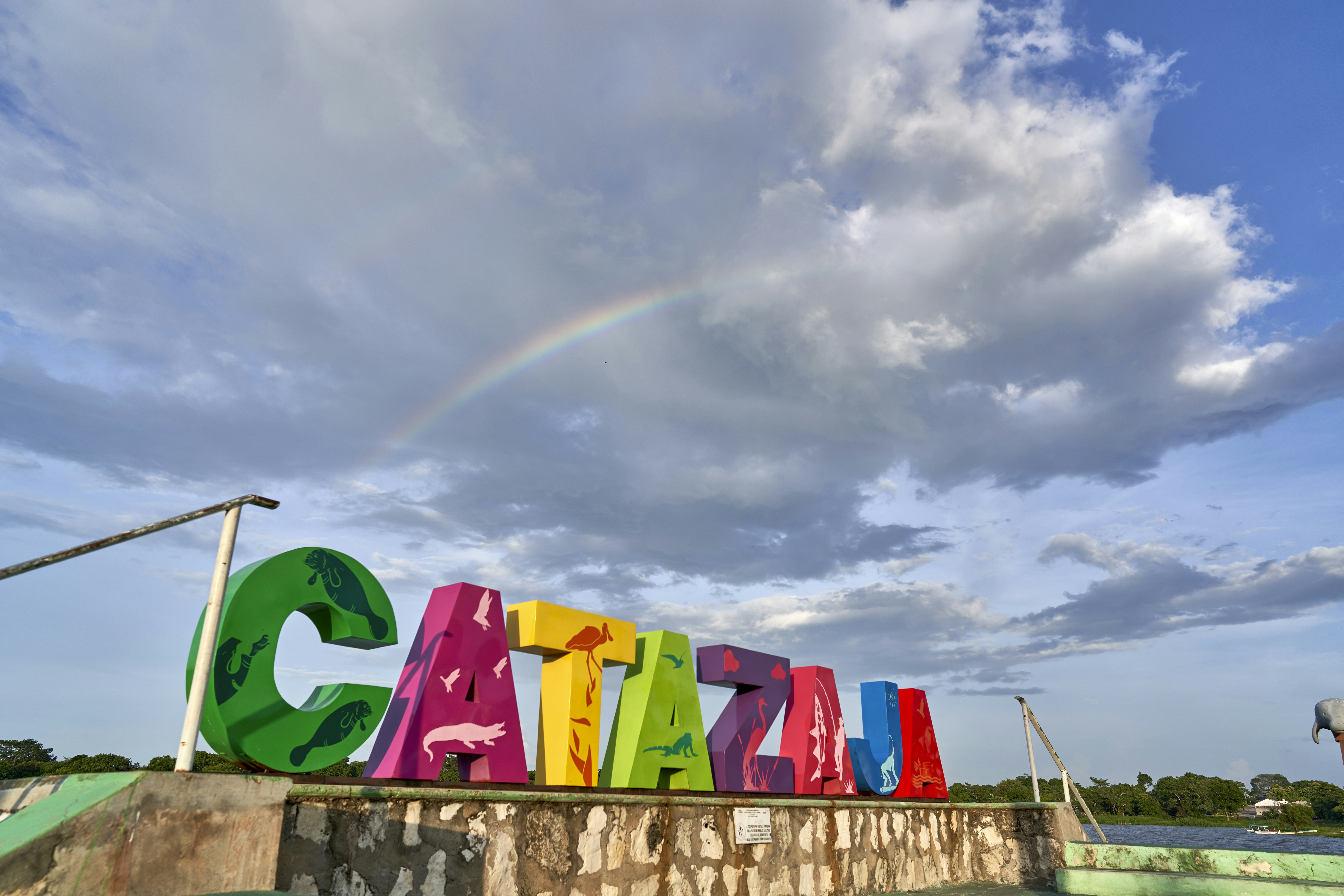 La guía definitiva para encontrar desarrollo de aplicaciones en Caravaca de la Cruz