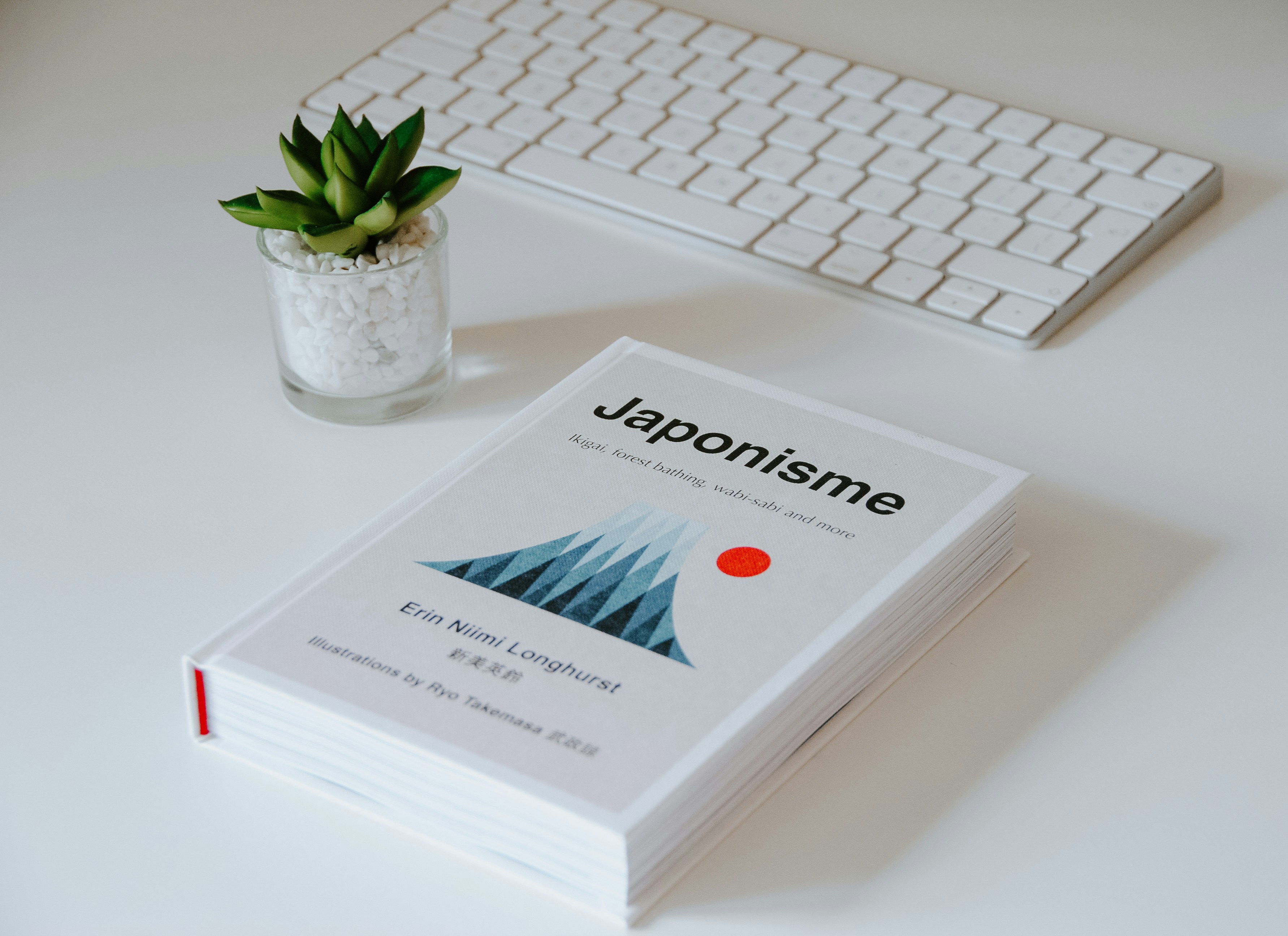 La guía definitiva para encontrar desarrollo de aplicaciones en L'Hospitalet de Llobregat