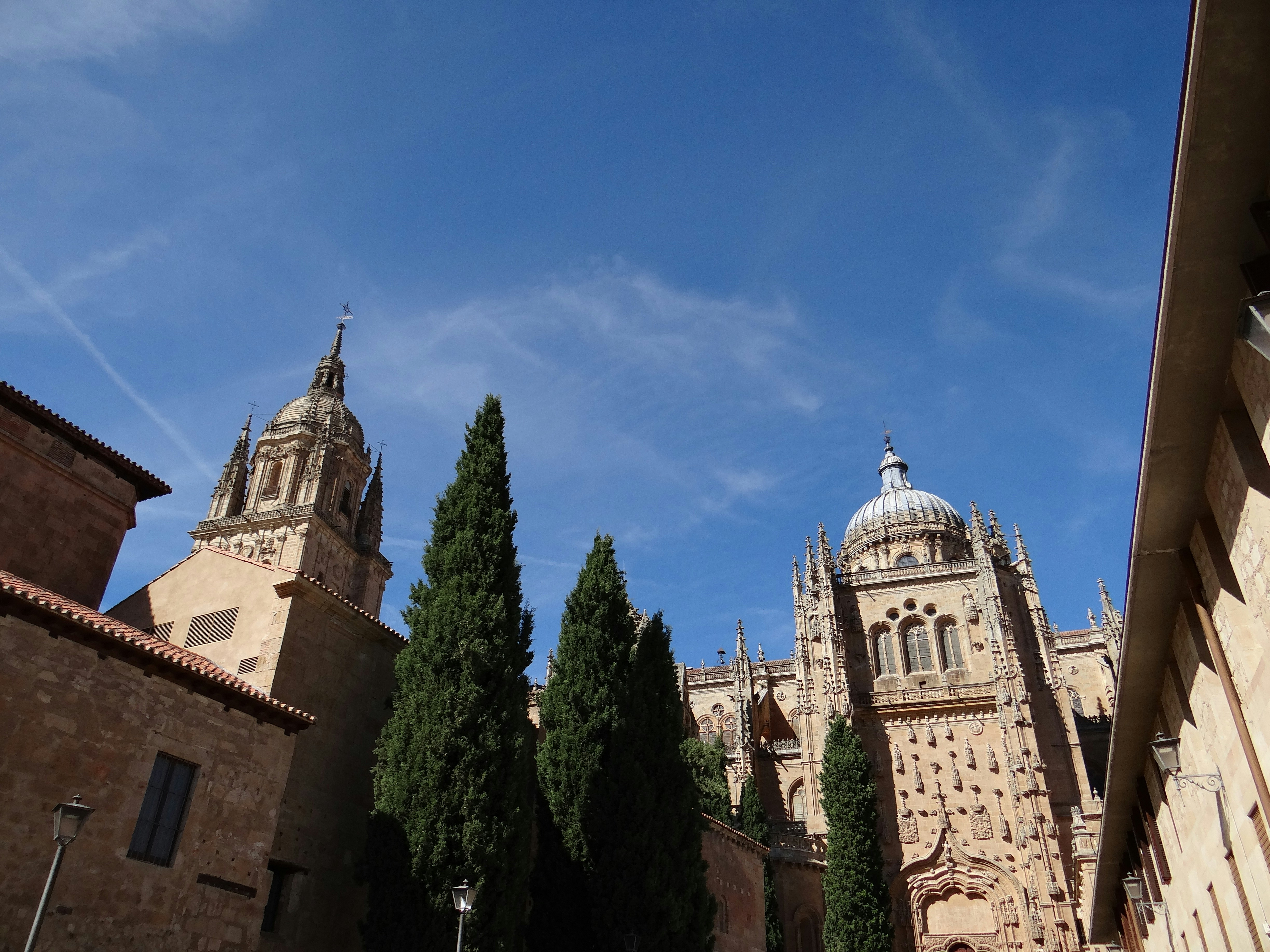 Compañía de servicios de desarrollo de aplicaciones web a medida en Salamanca