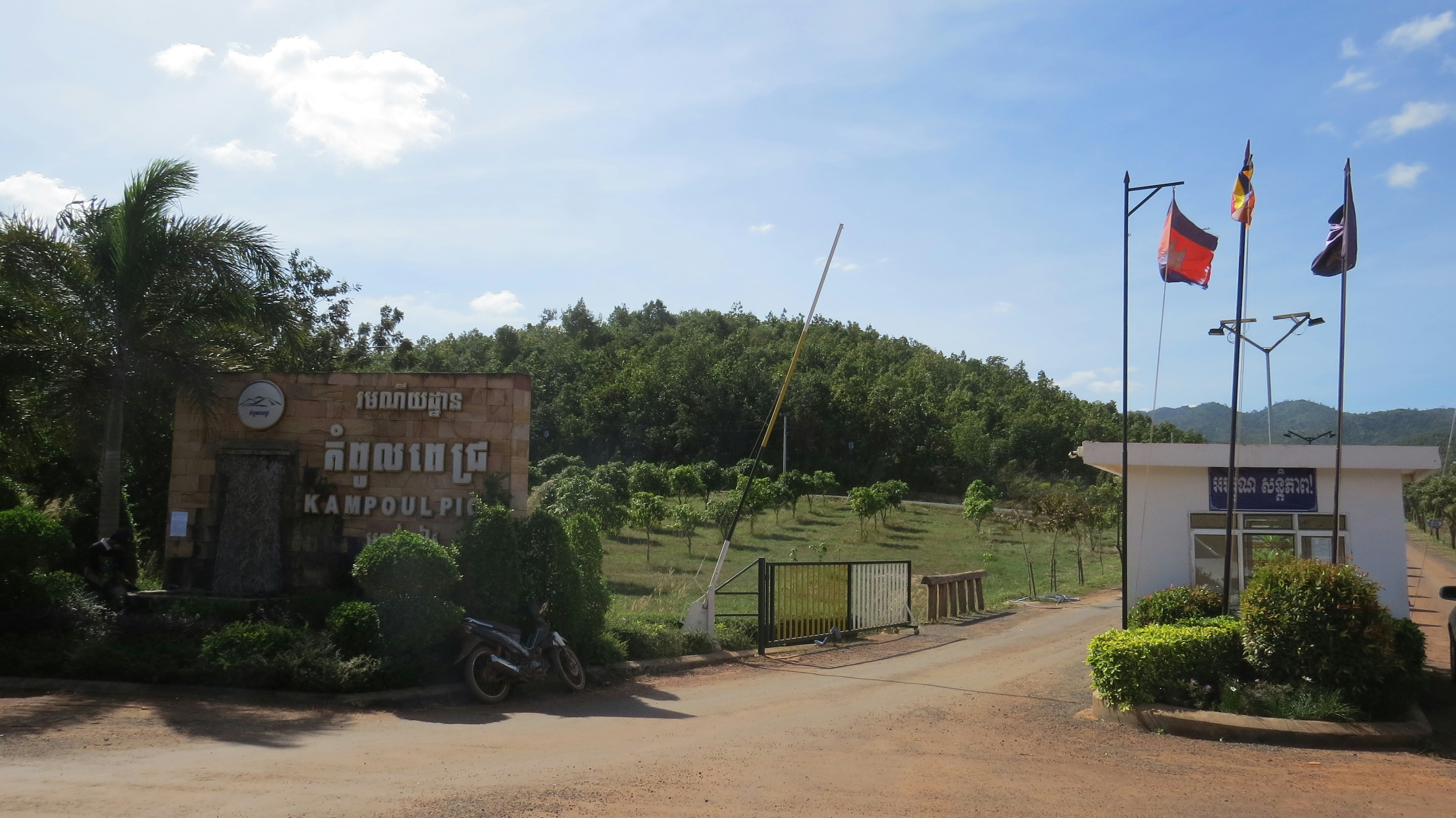 Empresa de servicios de desarrollo de IA en Sagunto