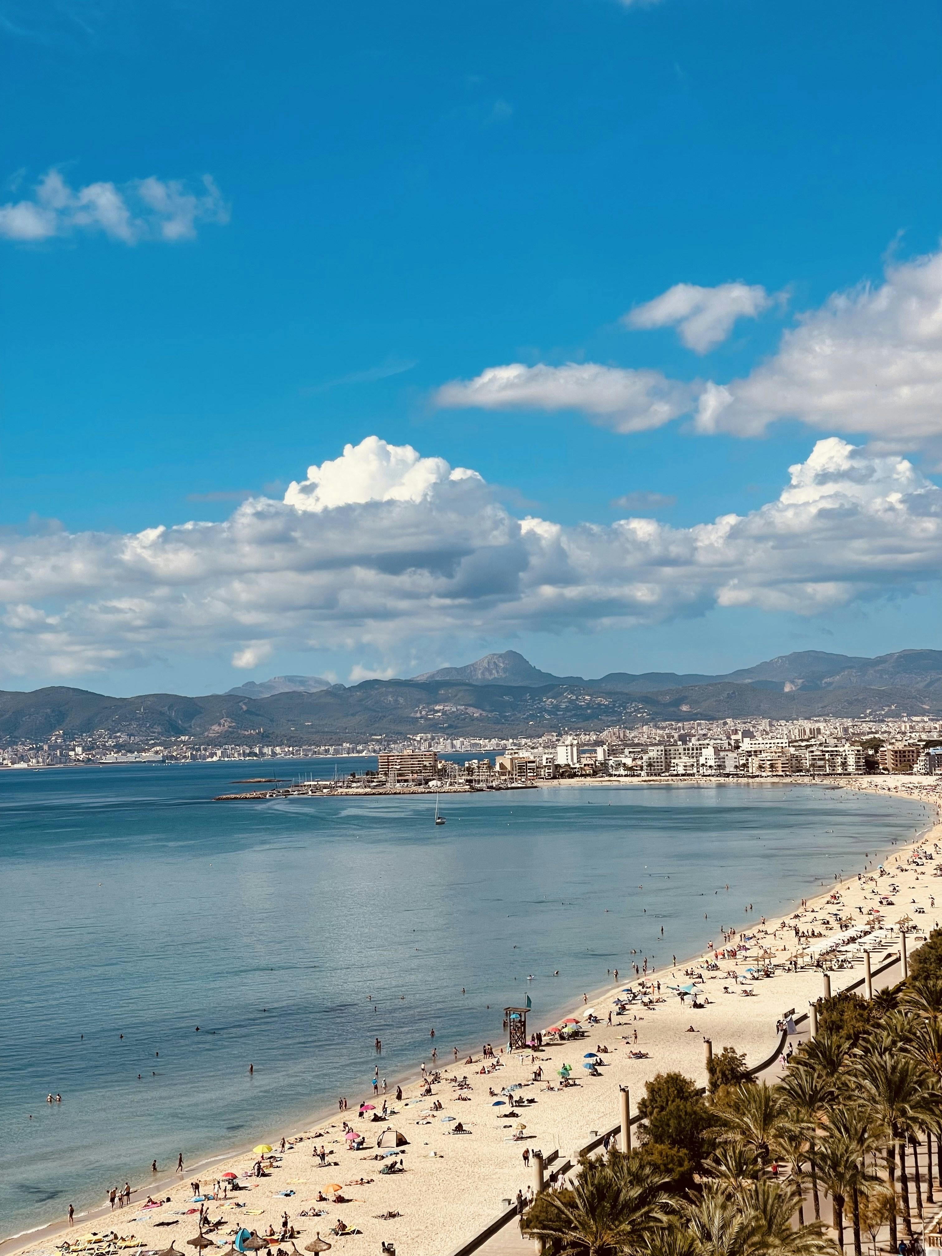 empresa de desarrollo de software a medida en Palma