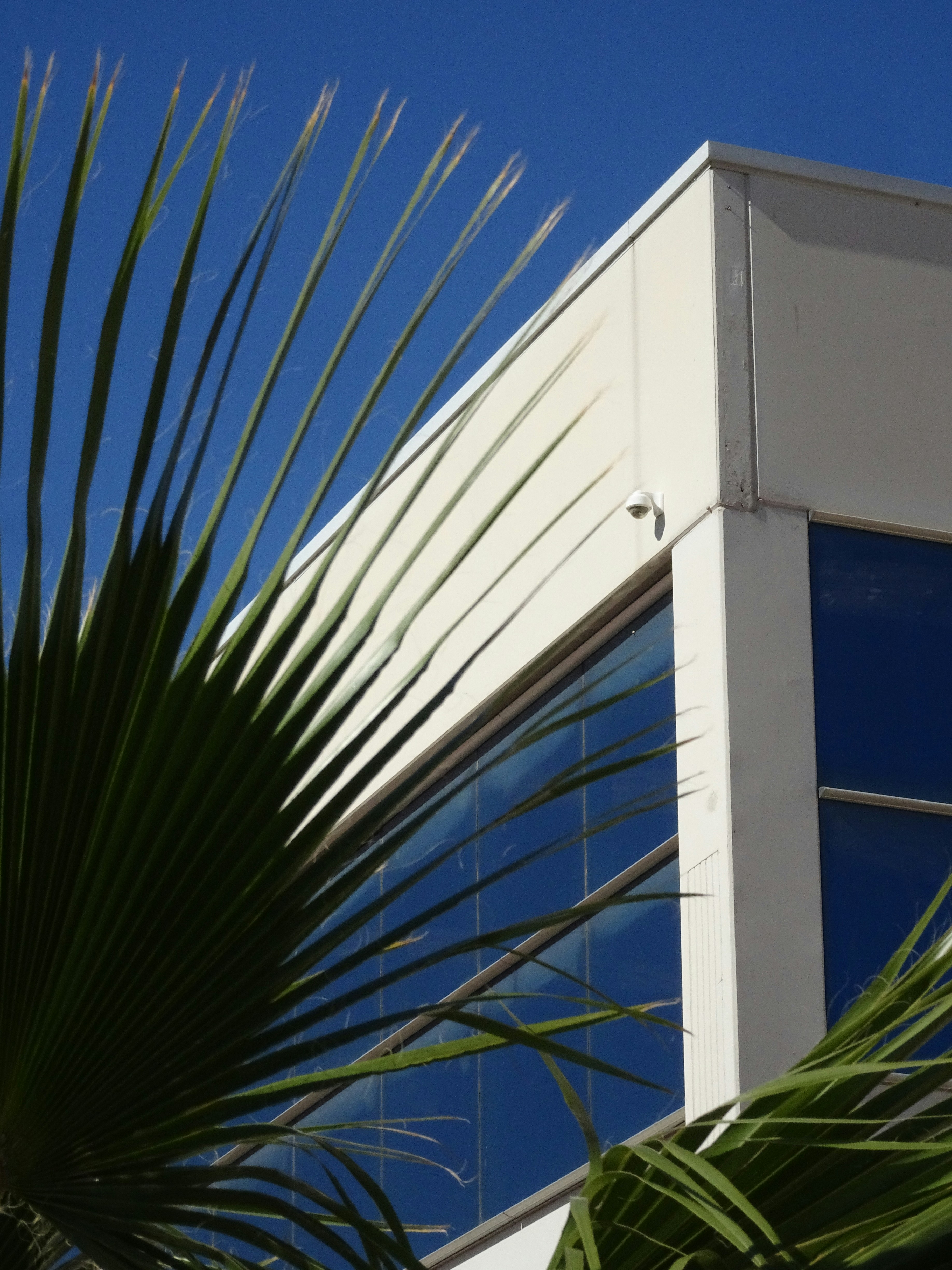 Compañía de servicios de software web a medida para empresas en Jerez de la Frontera