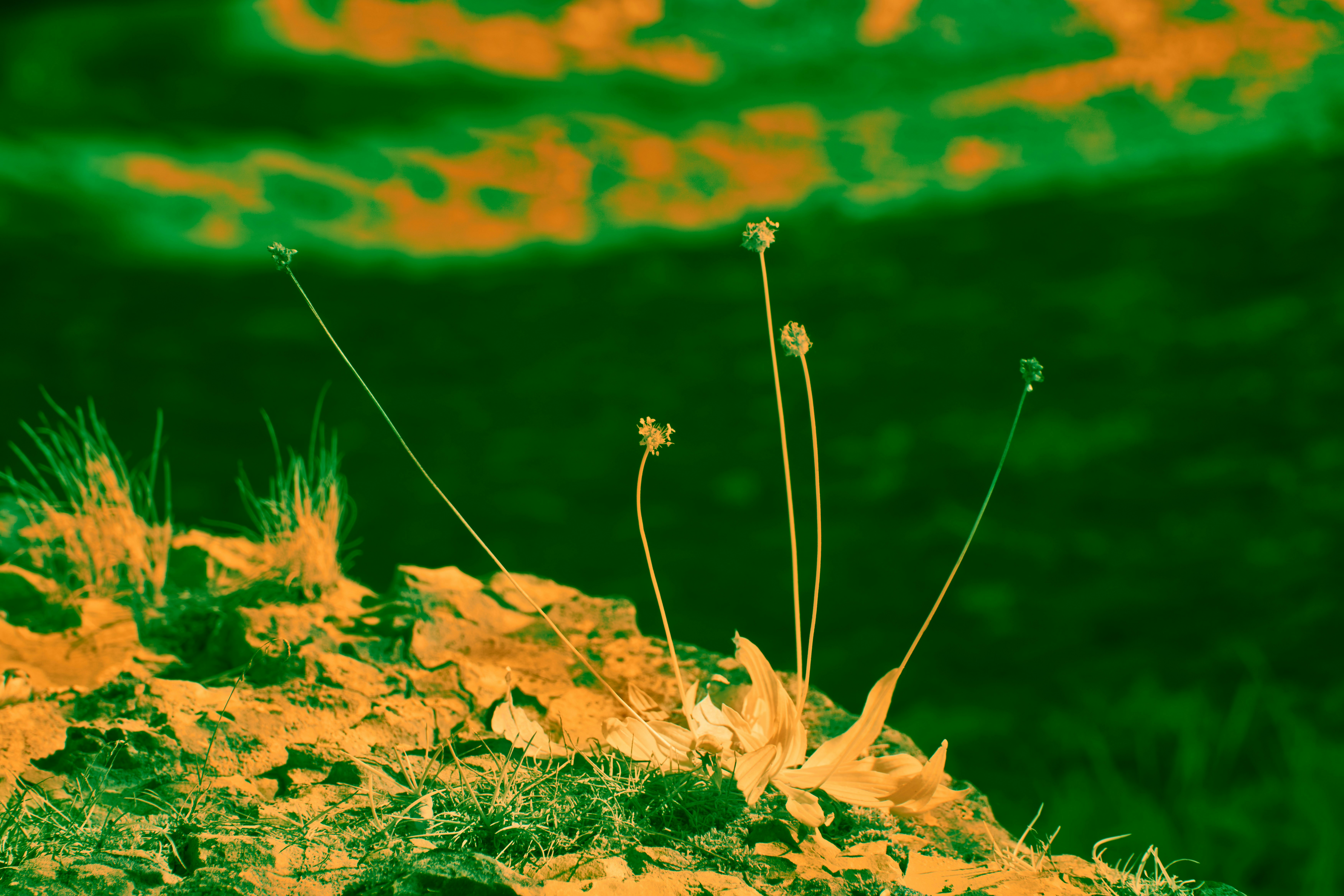 ¿Cómo funciona en la práctica el desarrollo de ERP personalizado para la fabricación?