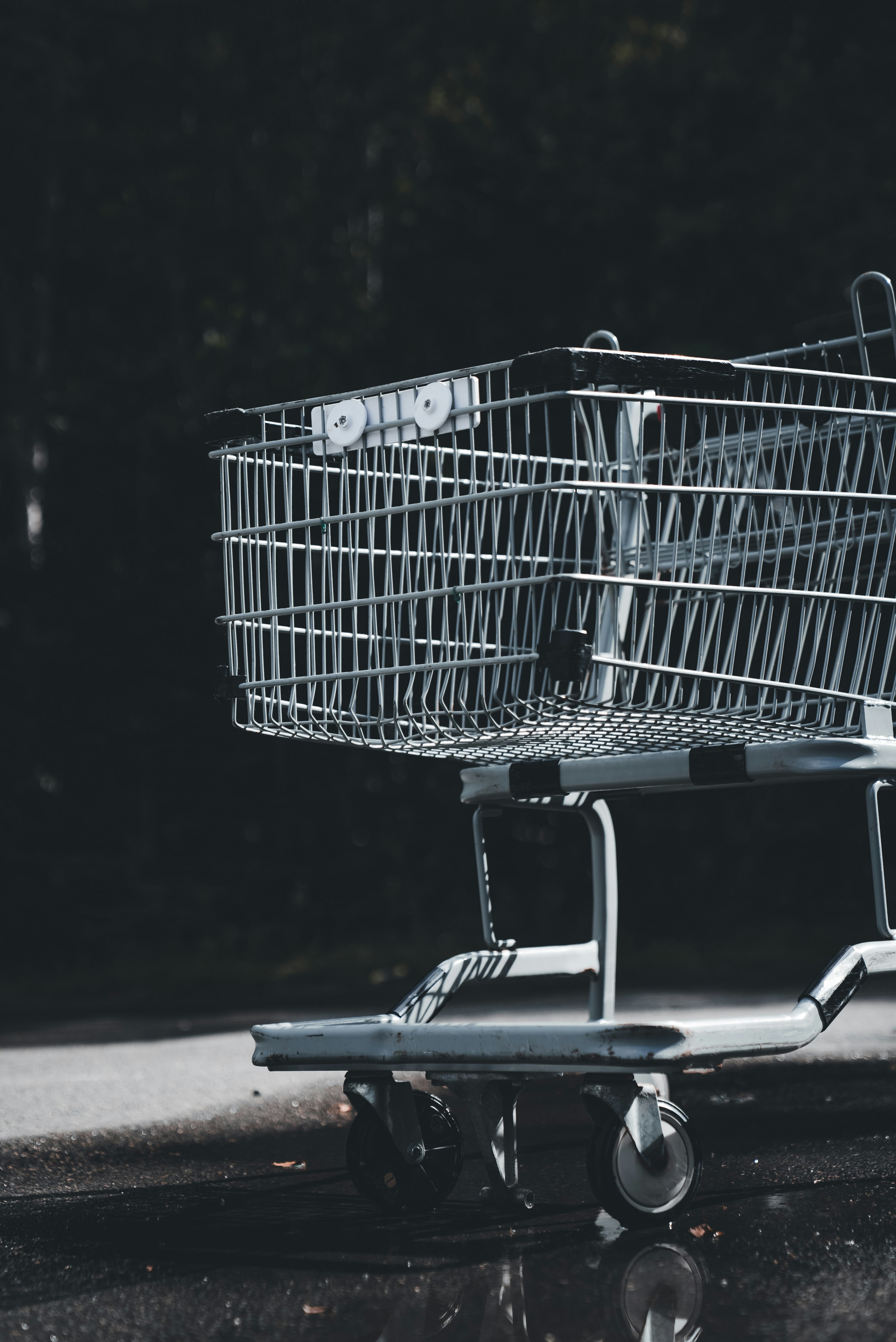 Detener la pérdida de ventas: desarrollo de Shopify con IA que vence el abandono de carritos