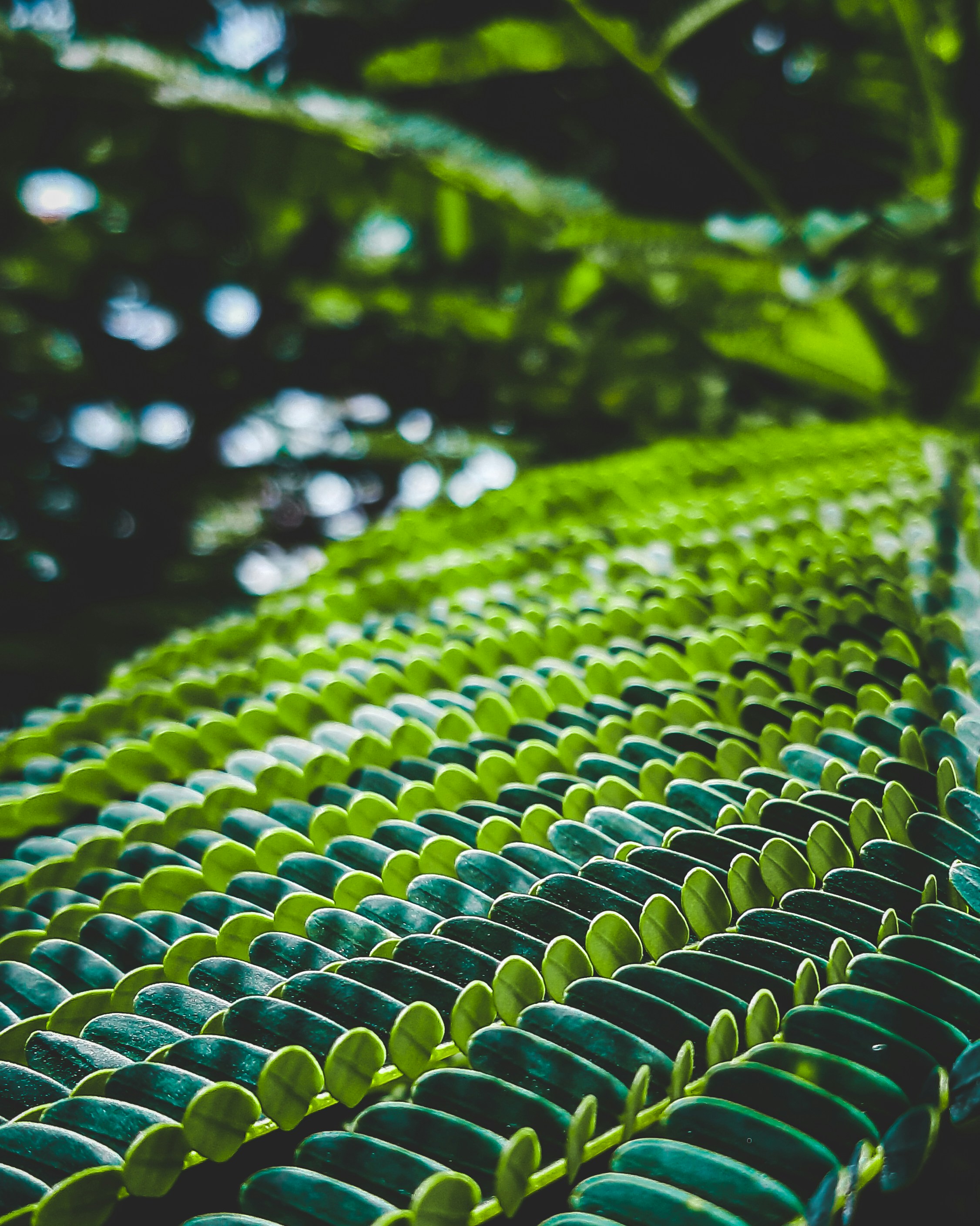 ¿Cómo puede el desarrollo personalizado de ERP para fabricación apoyar objetivos ambientales?