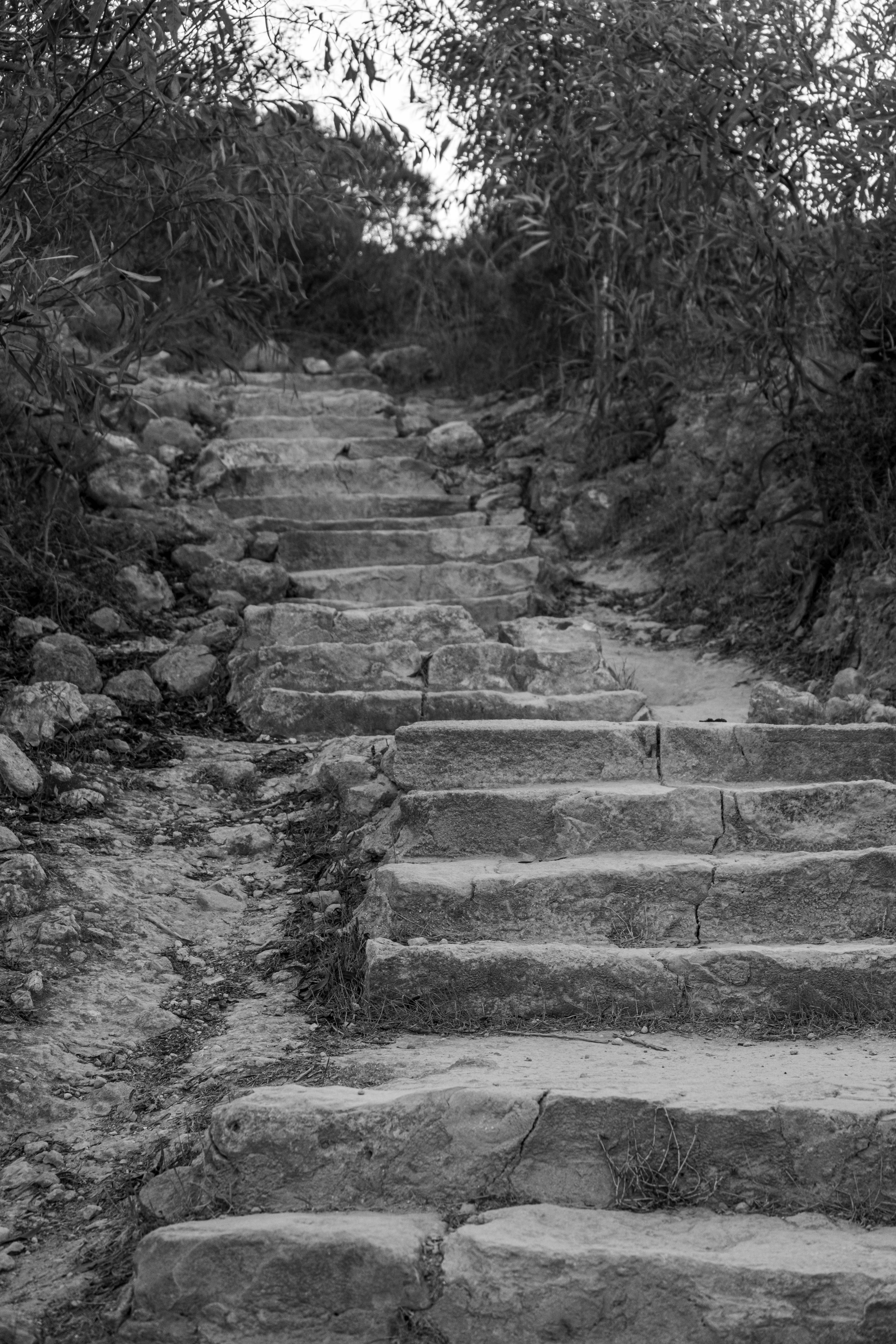 Un paso faltante para el éxito a nivel organizacional con desarrollo sin código.