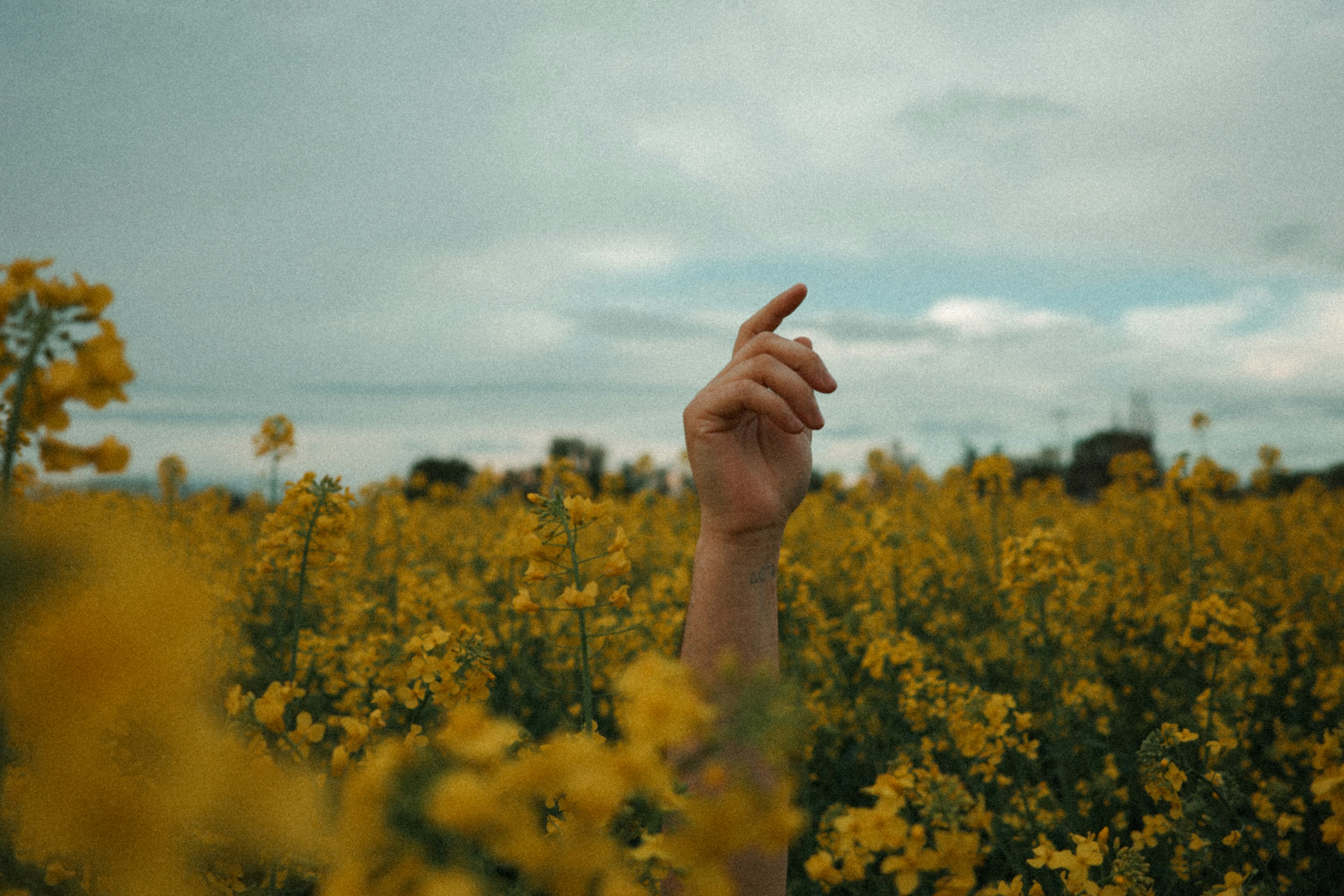 Aplicación móvil oficial Partner en Alcalá de Henares - Más de 15 años de experiencia