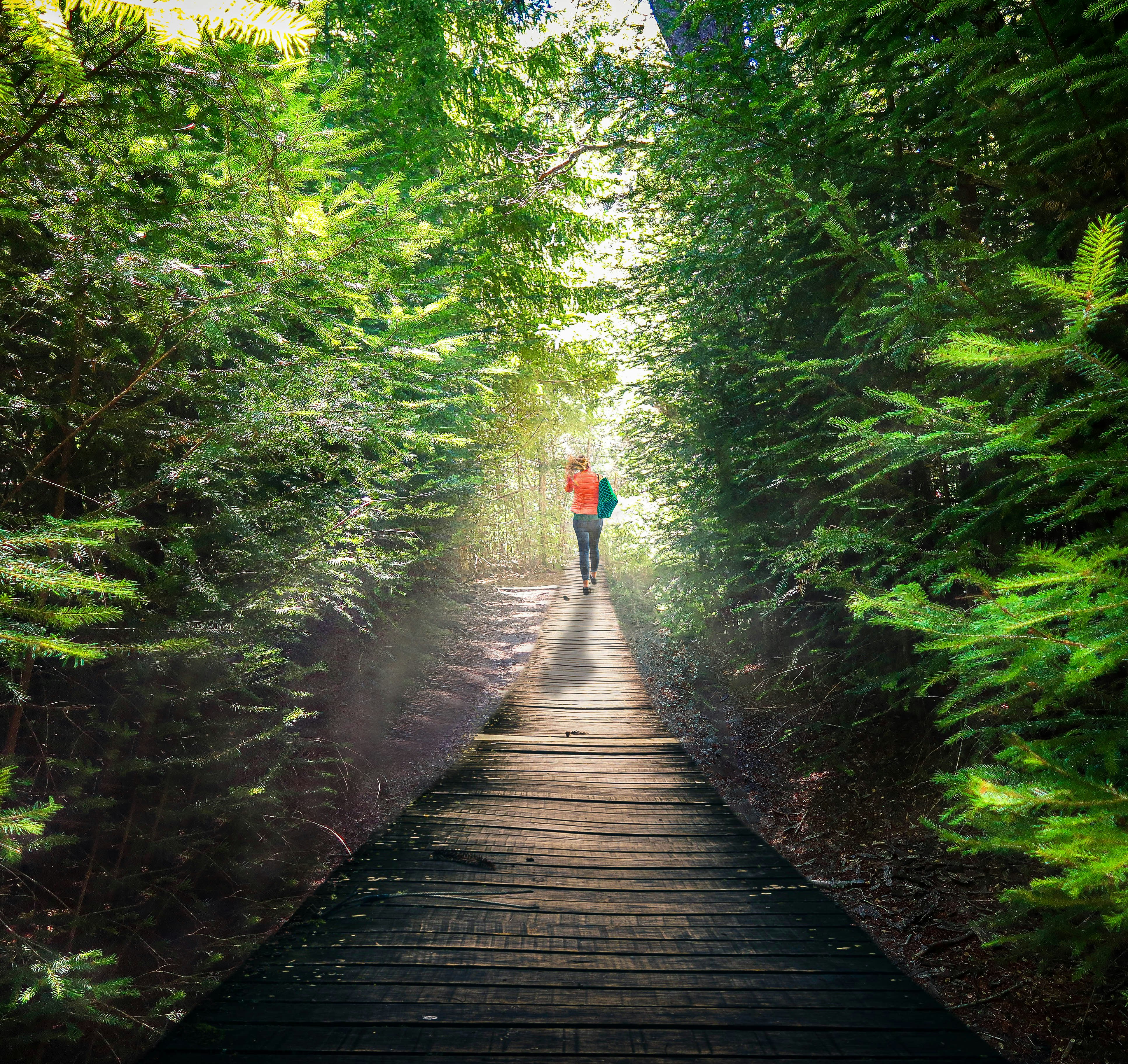 5 Cosas que Necesitas Saber para Ganar Dinero con la Inteligencia Artificial (Sin tonterías)