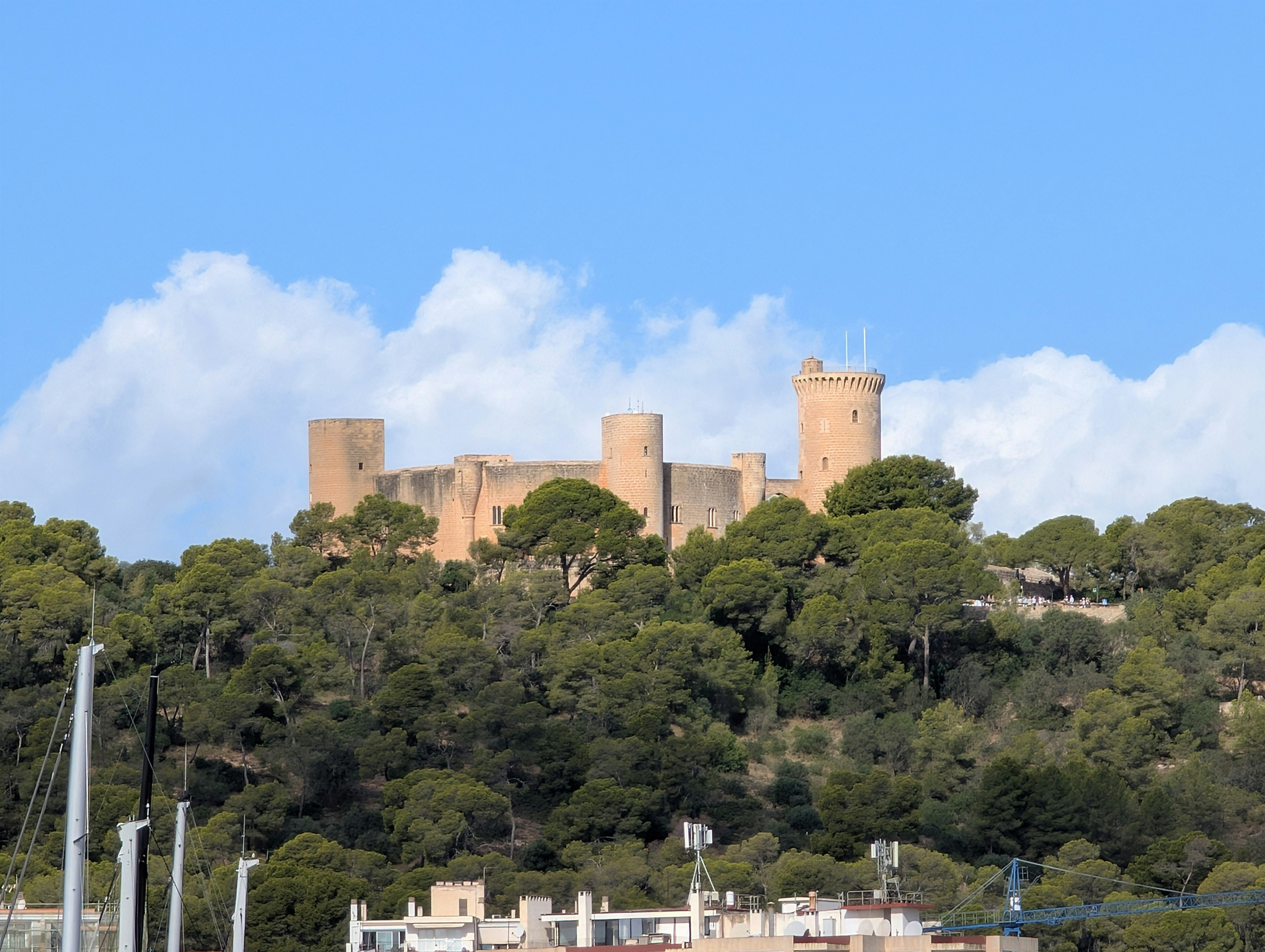 Los 5 mejores expertos en desarrollo de flujos de trabajo de n8n en Castelldefels