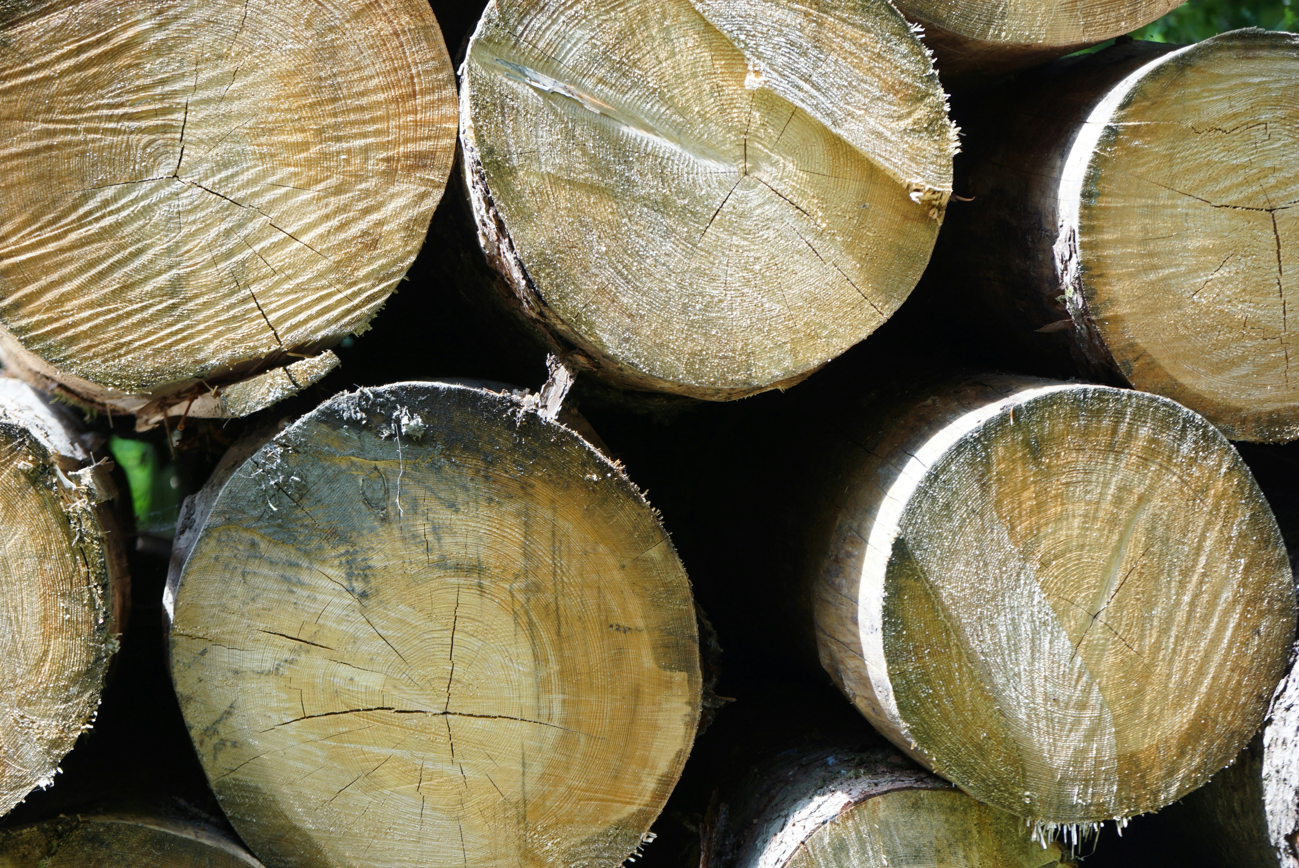 Los 50 mejores expertos en aplicaciones a medida en Alberite