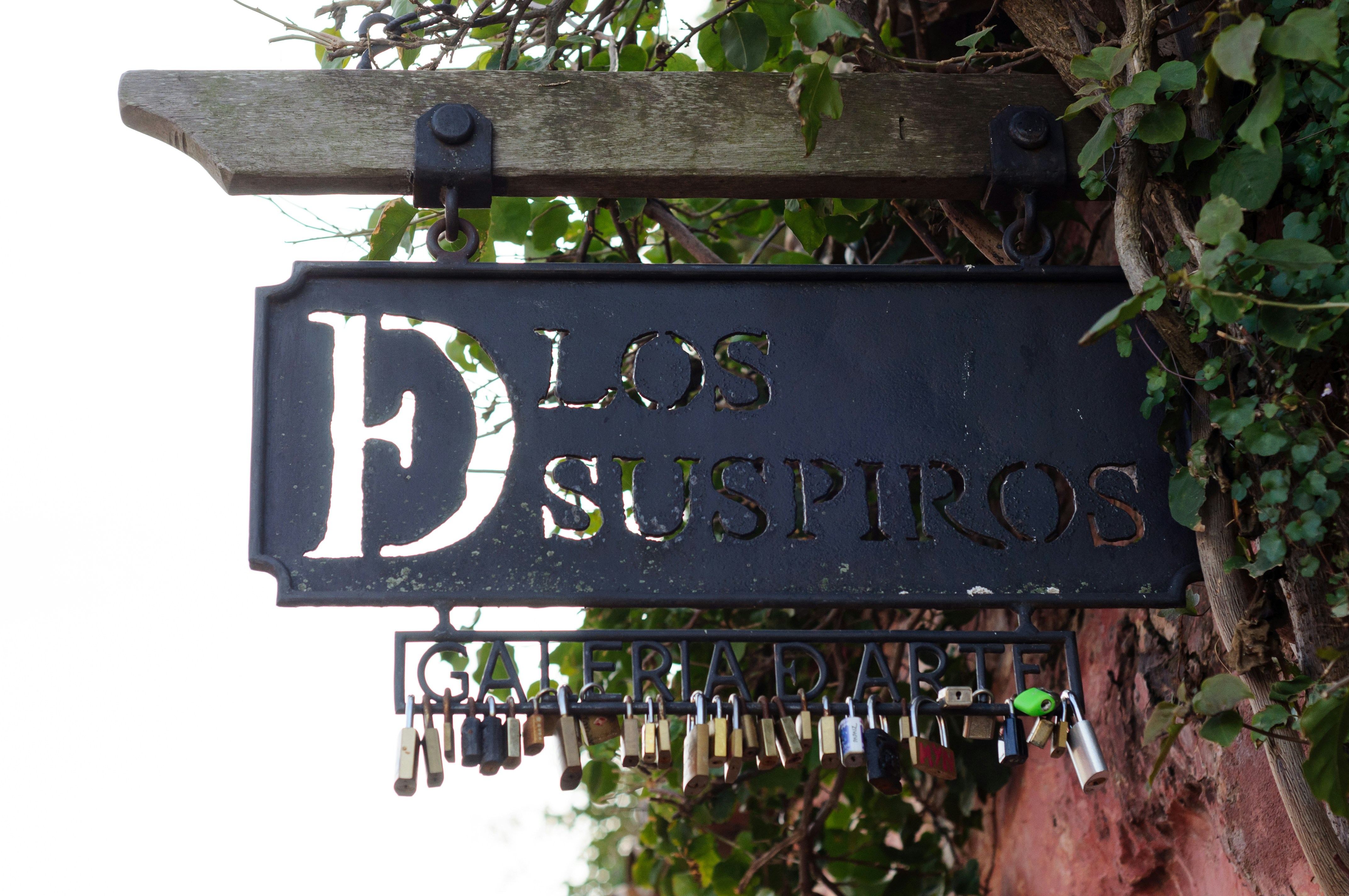 Los 3 mejores expertos en eliminar la entrada de datos duplicados en Valladolid 2026