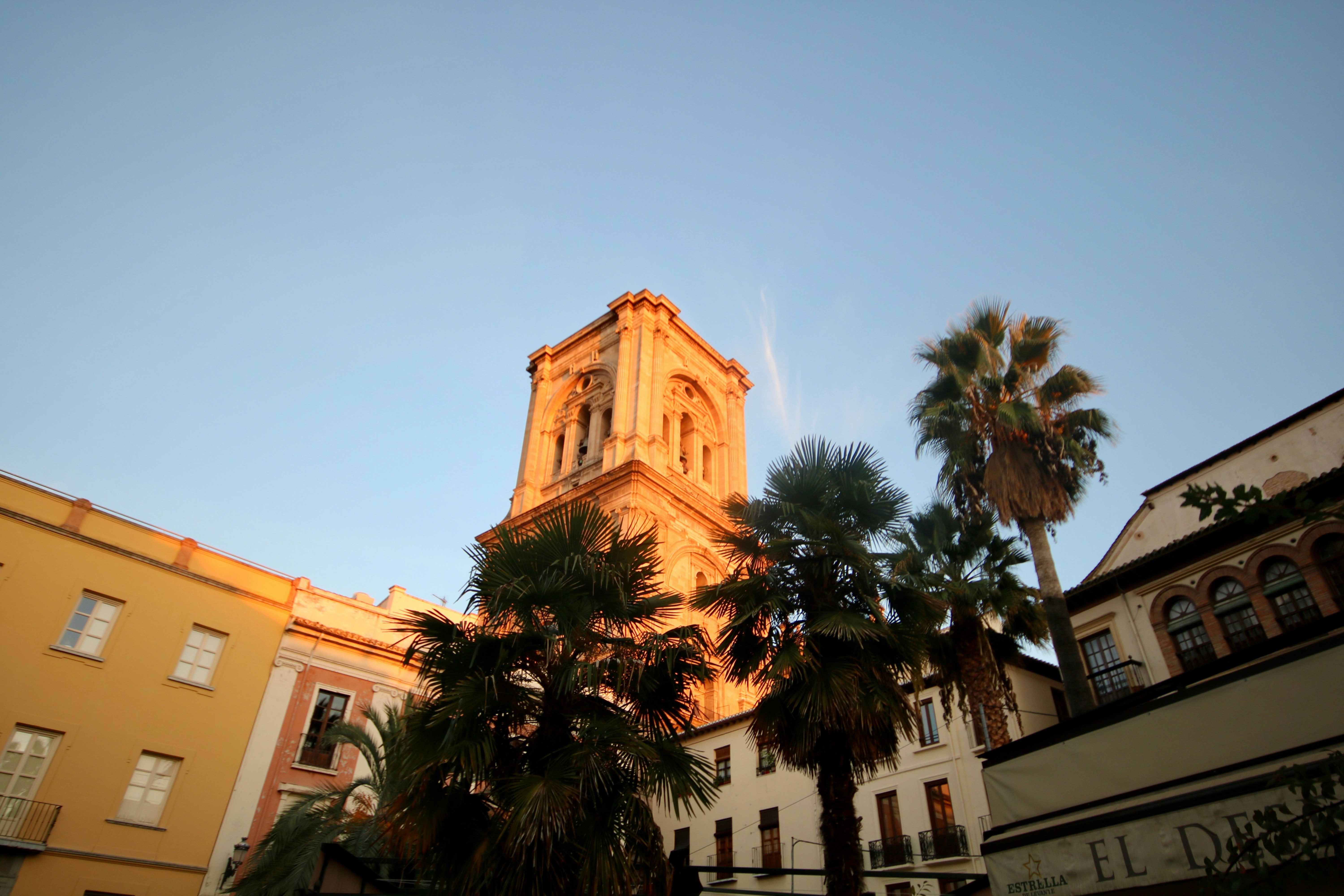 Top 20 Expertos en servicios de n8n en Las Palmas de Gran Canaria