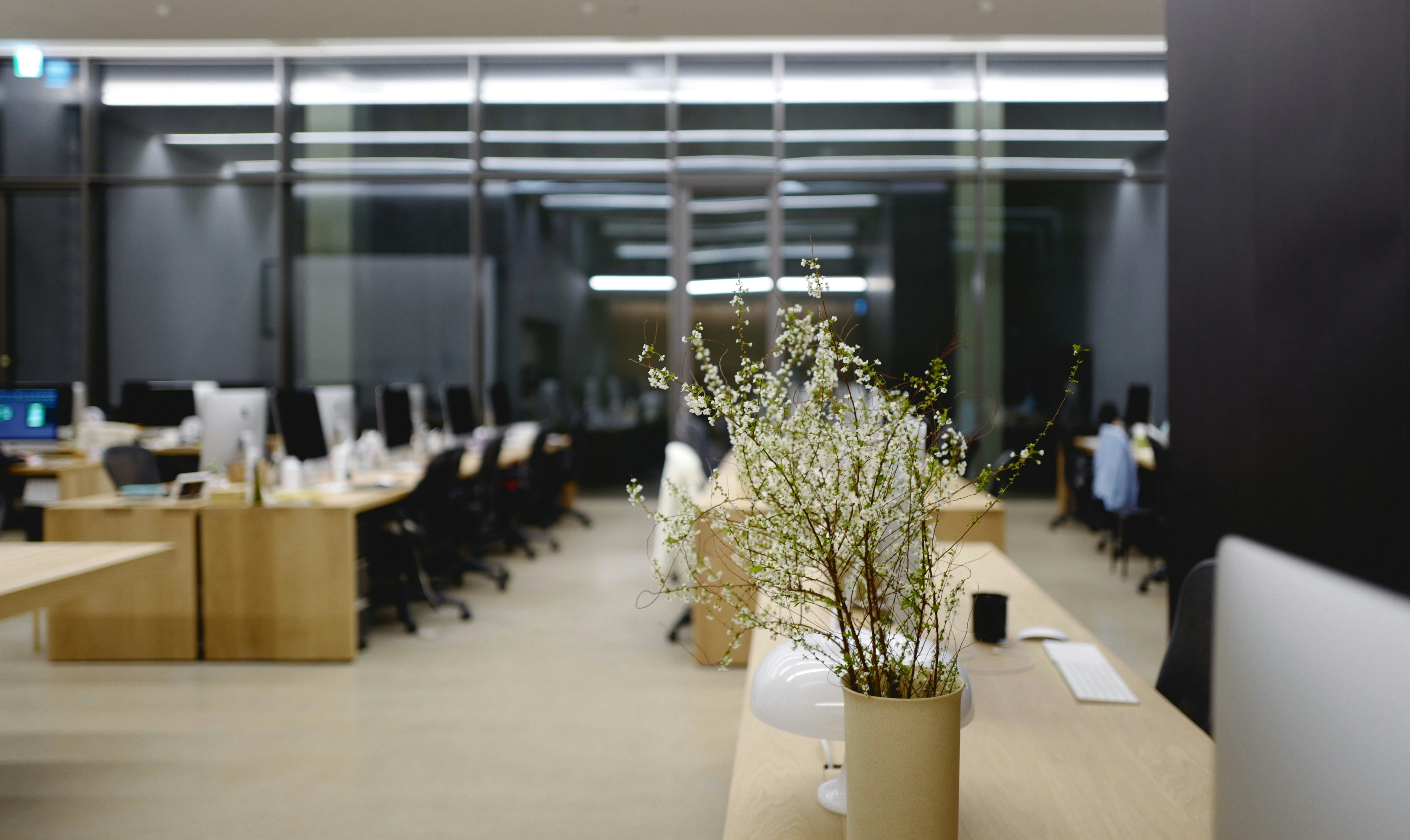 Top 50 Expertos en IA AGENCY en Reus