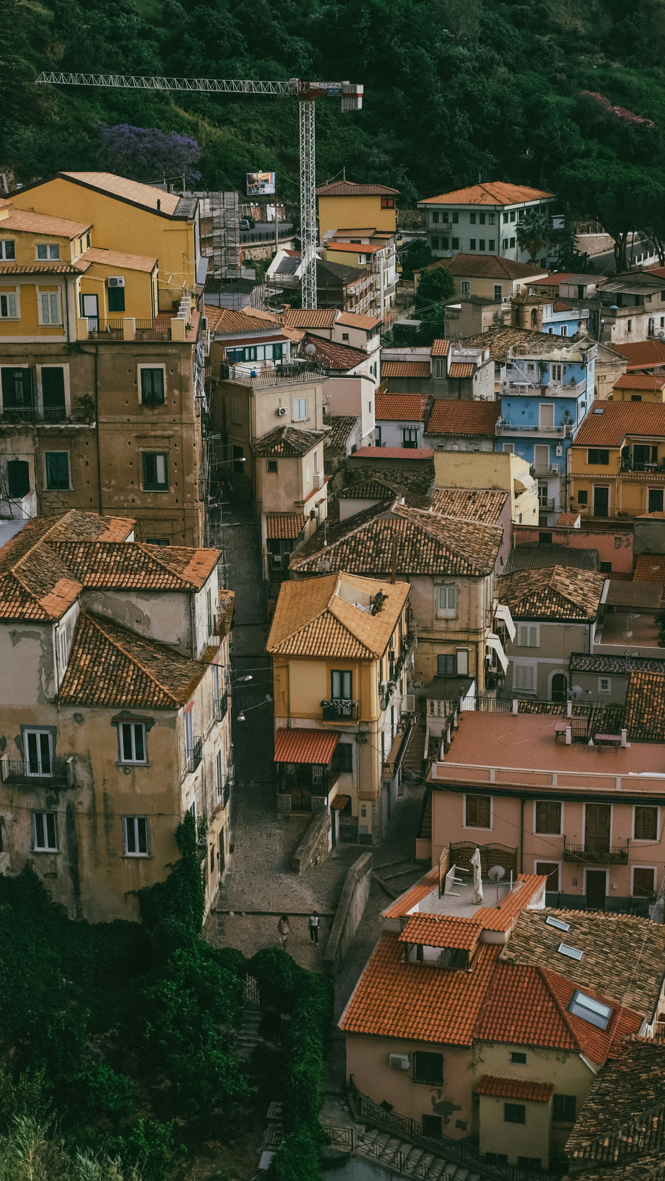 La Guía Definitiva para Encontrar aplicaciones personalizadas en Vinaròs