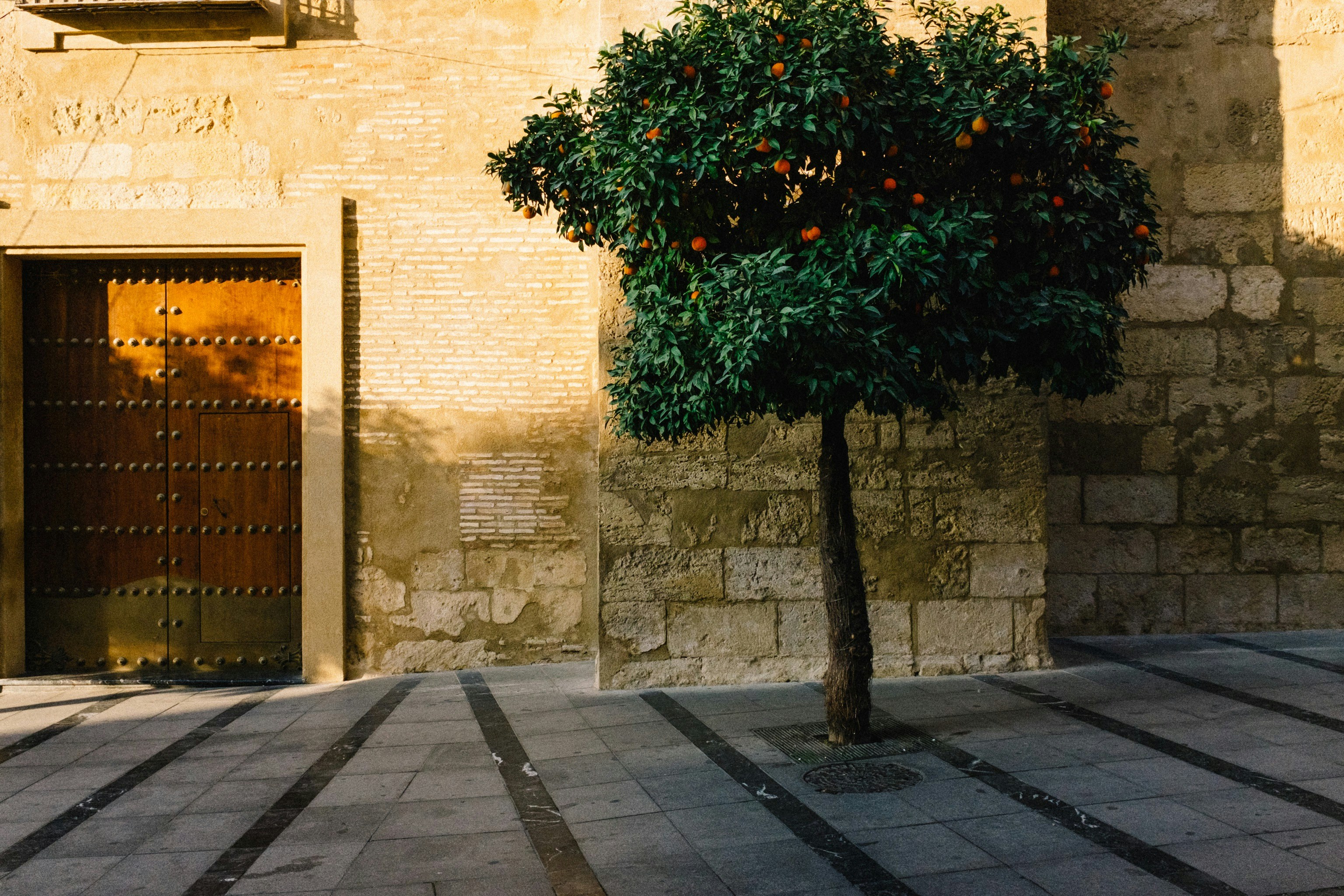 portal de franquiciados con auditorías: estudio de caso en Sevilla 2026 - implementación de Q2BSTUDIO