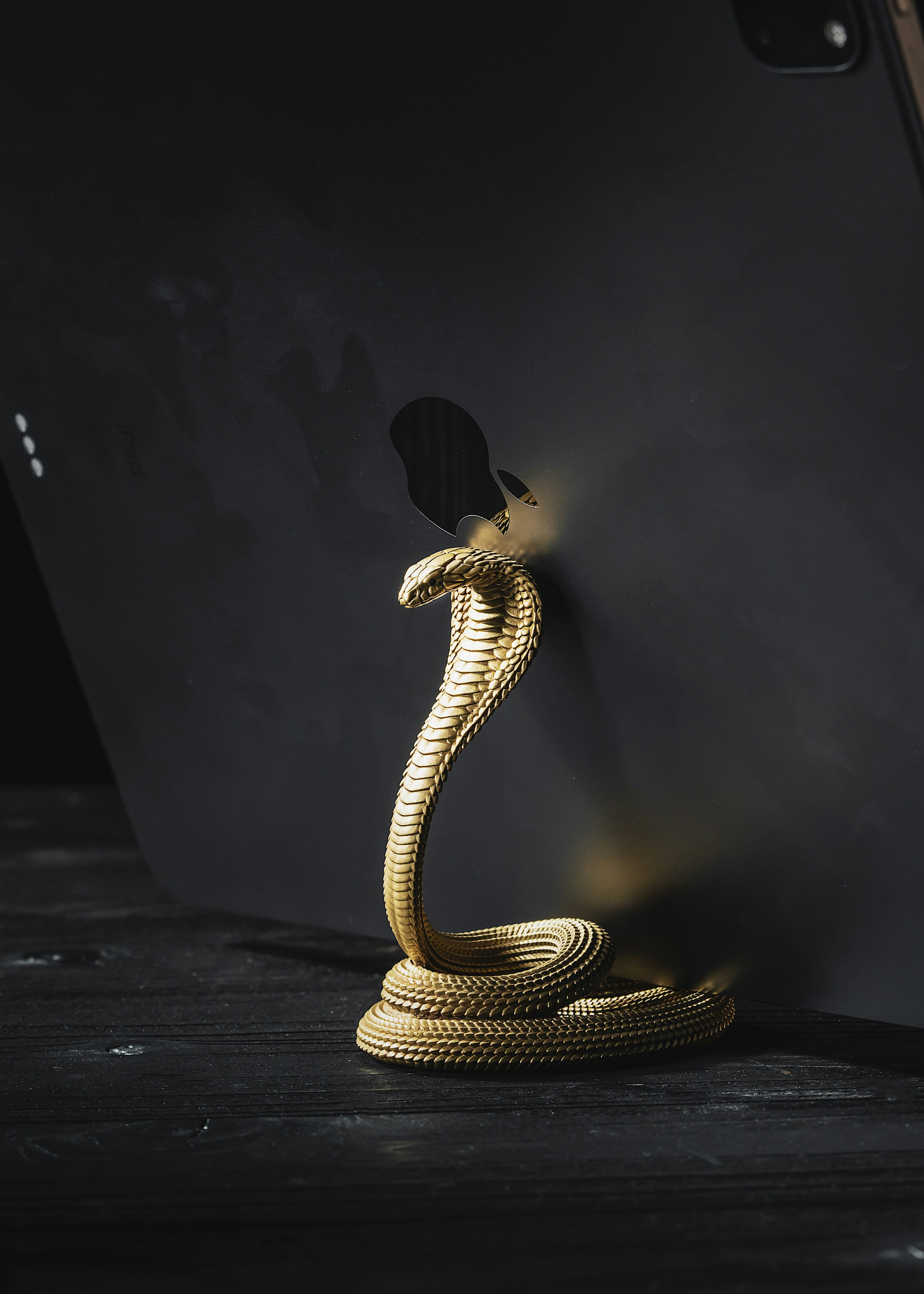 Cómo abordar Python con codificación de onda en 2026