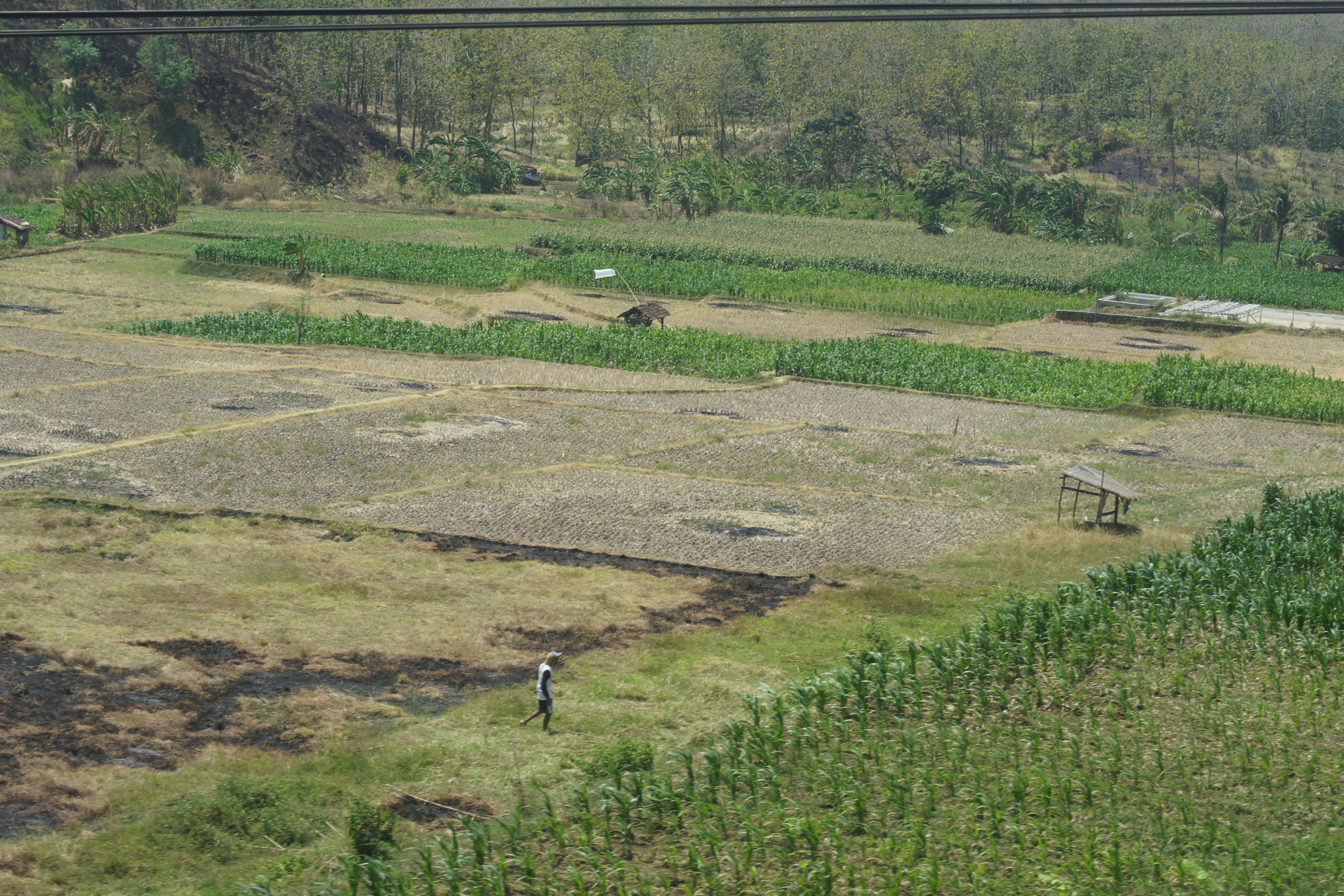 Aprendizaje de Detección Activa para la Reconstrucción de Campos Continuos con Láser