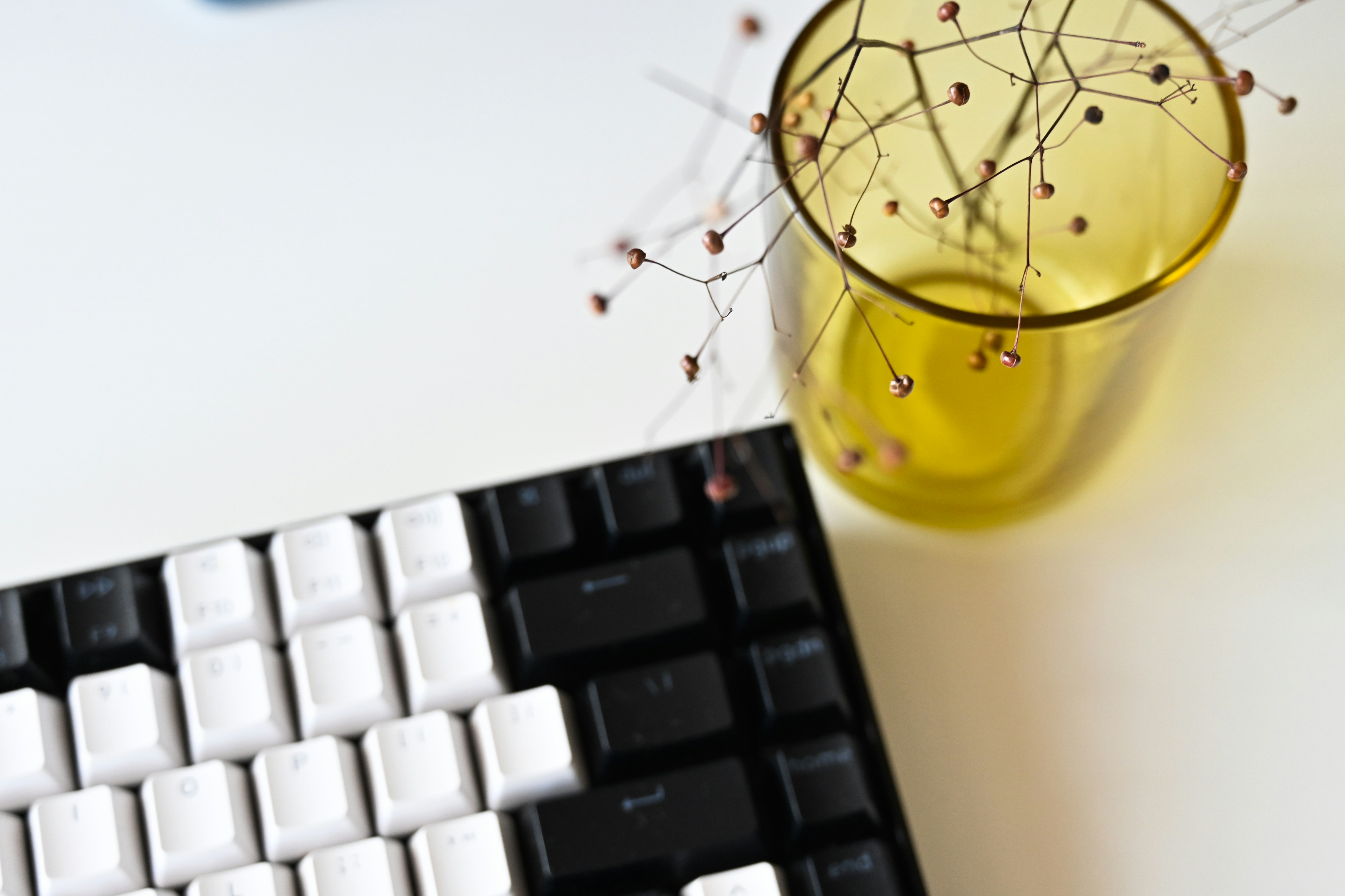 ¿Puede el software de negocio de control de plagas ayudar a reducir costos y ahorrar tiempo?