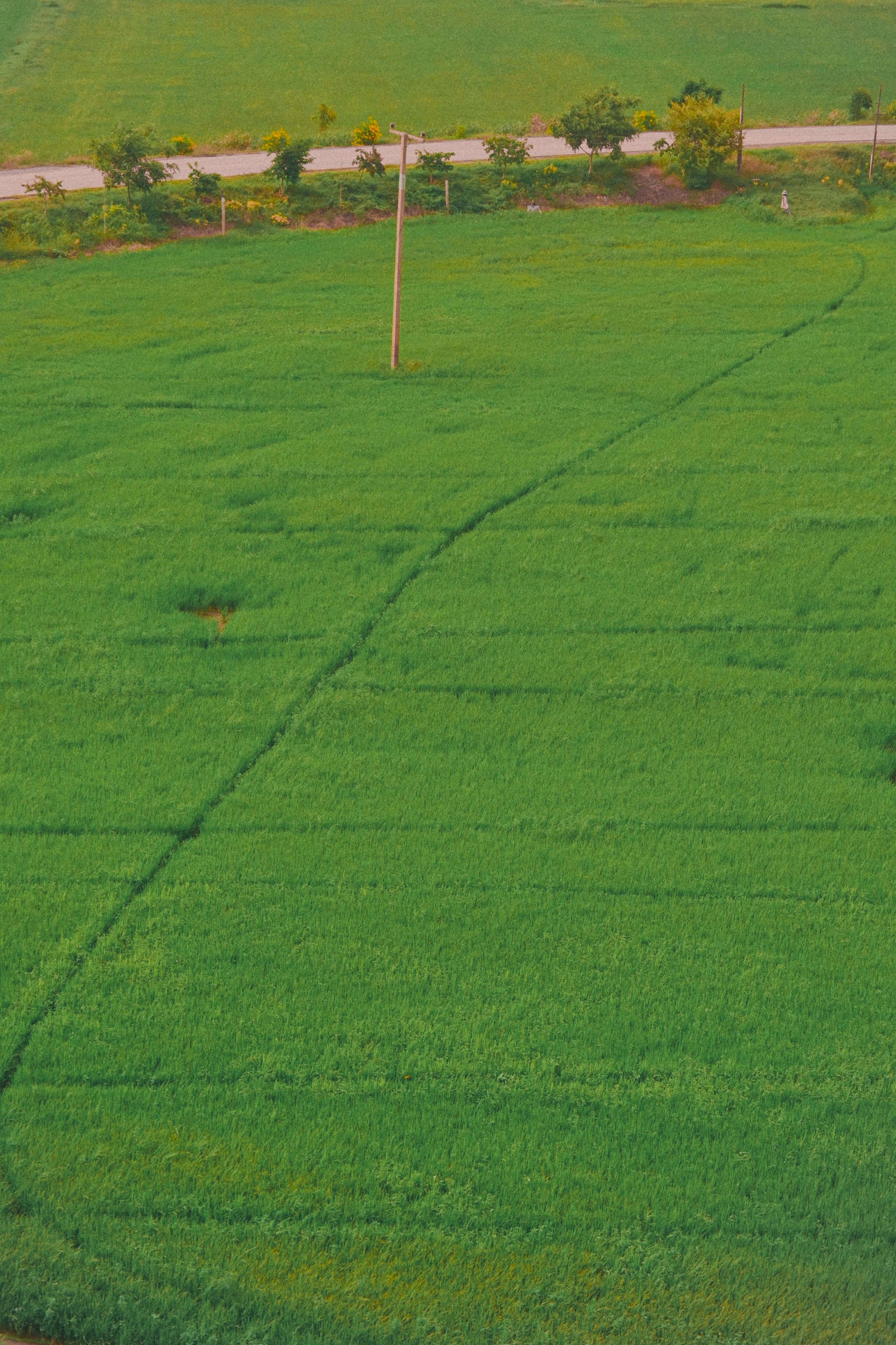 Fronteras de gradiente a través de intervalos de confianza para estimaciones de alineación forzada utilizando conjuntos de modelos