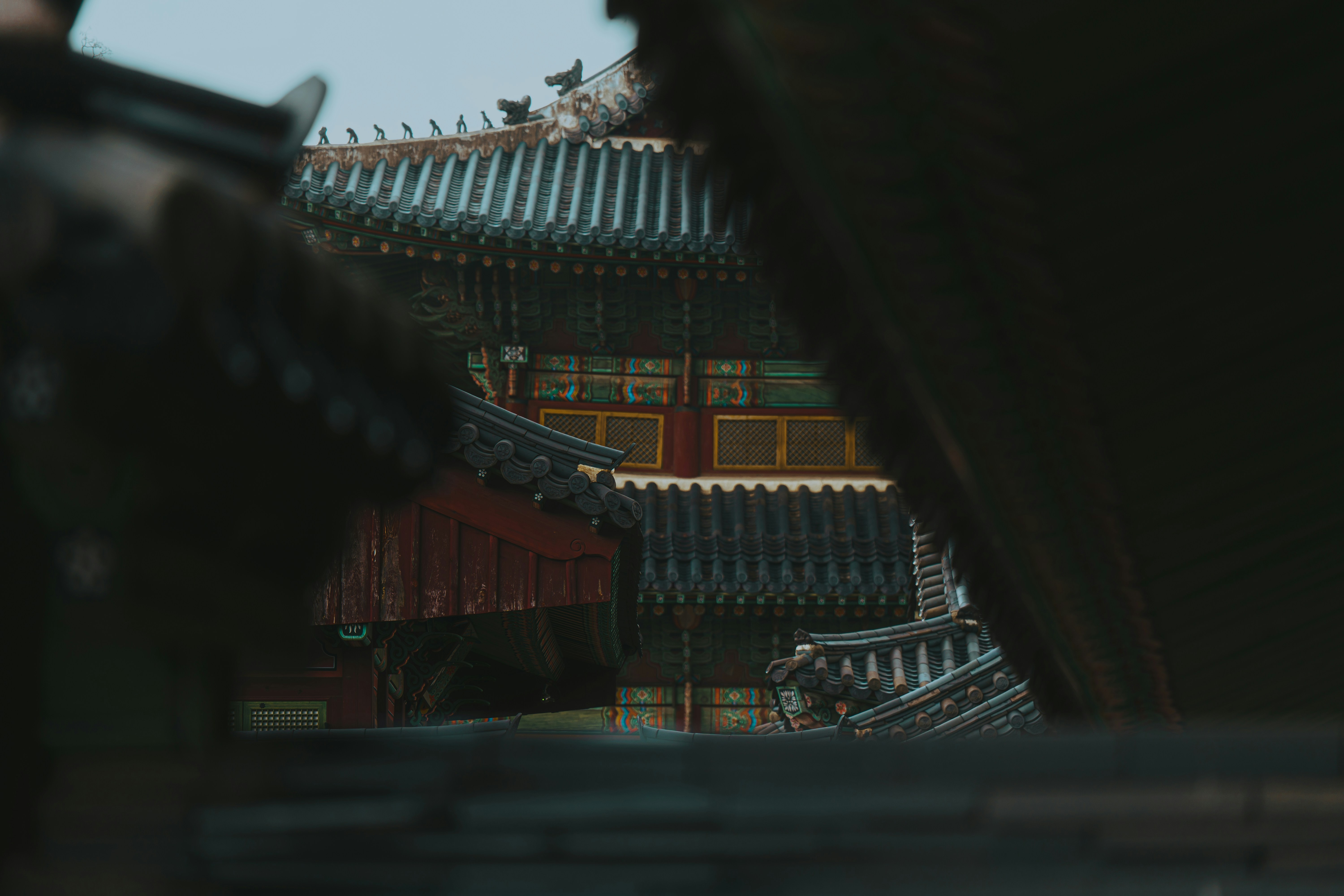 Empezando con funciones ocultas para dominar el SEO en KWFinder