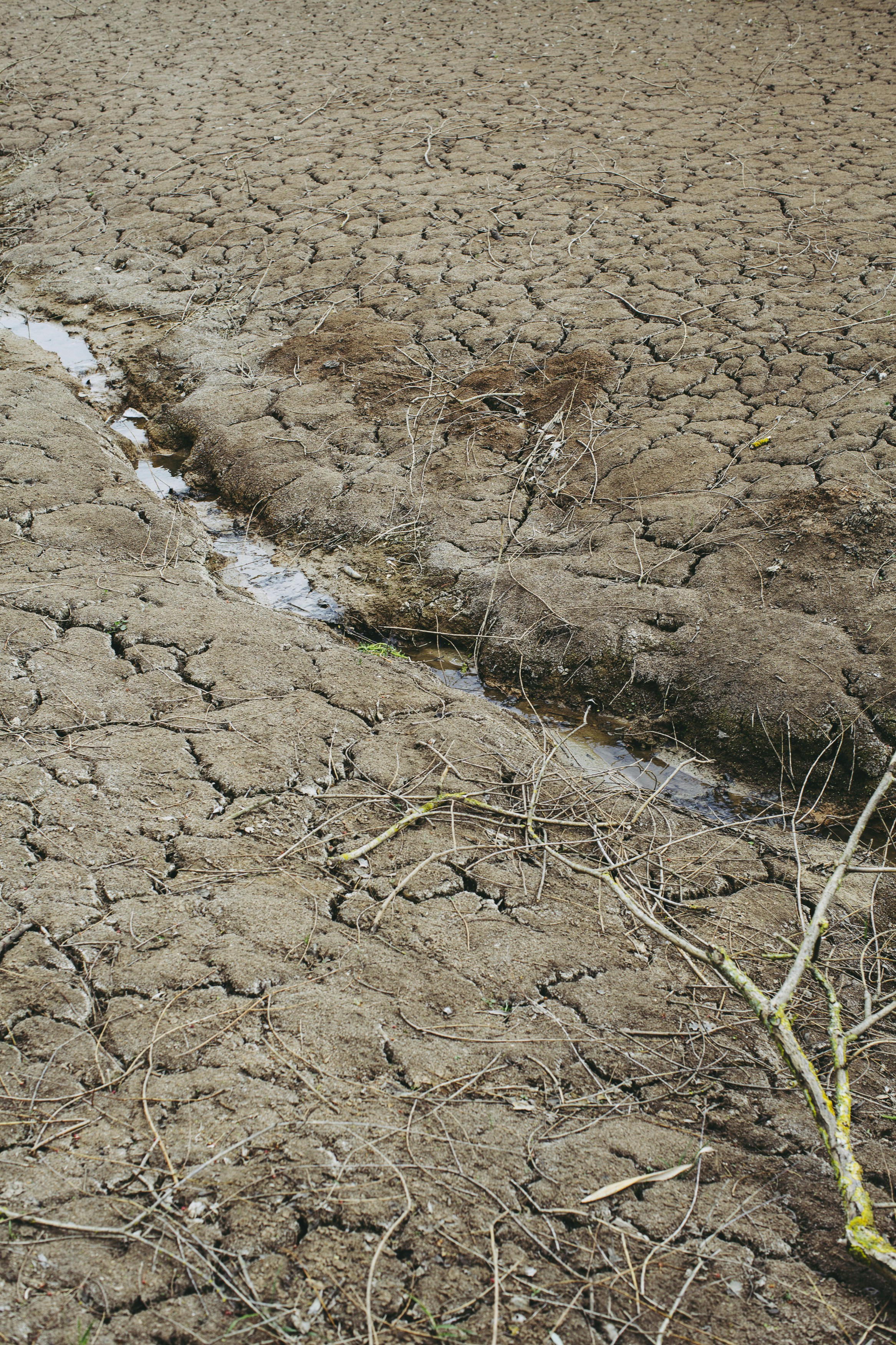 El marcado de agua debería tratarse como una primitiva de monitoreo