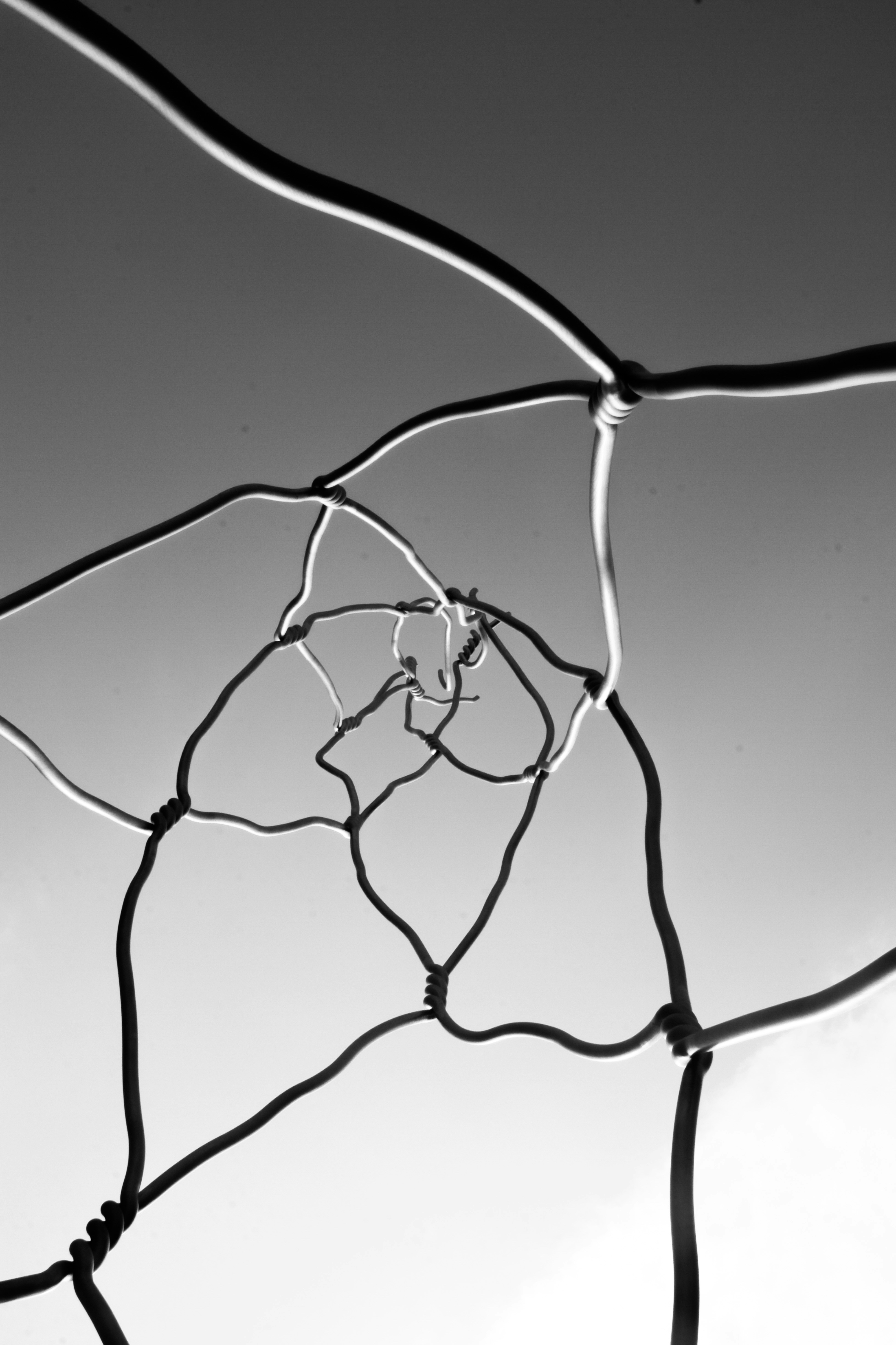 Principio de Incertidumbre Neural: Una Vista Unificada de la Fragilidad Adversarial y la Alucinación de LLM