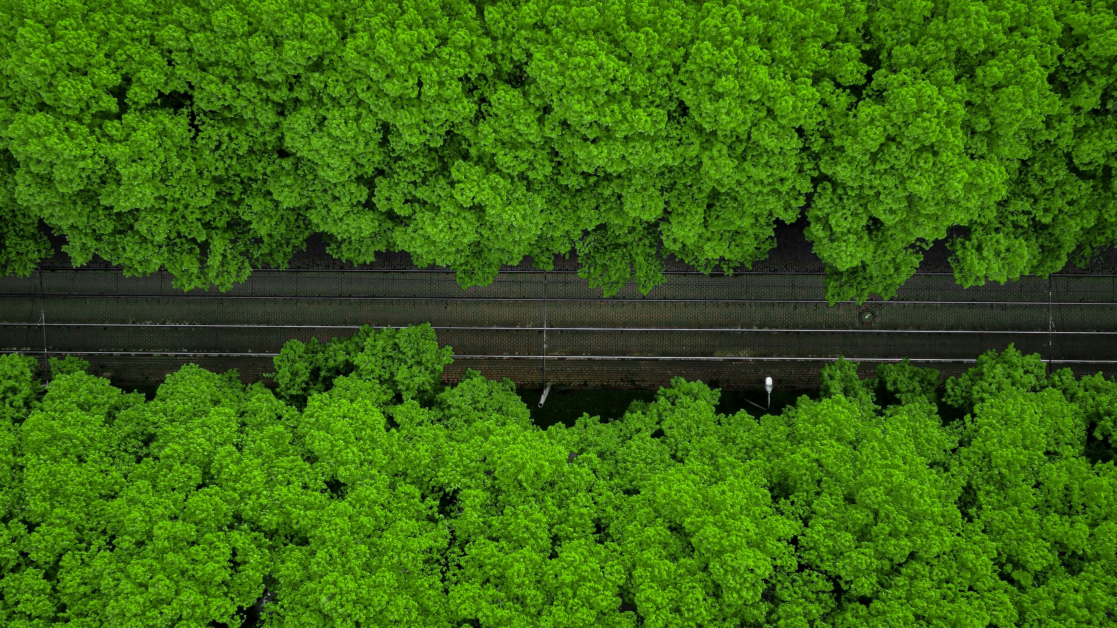 ¿Cómo puede el SEO de inteligencia artificial apoyar los objetivos ambientales?