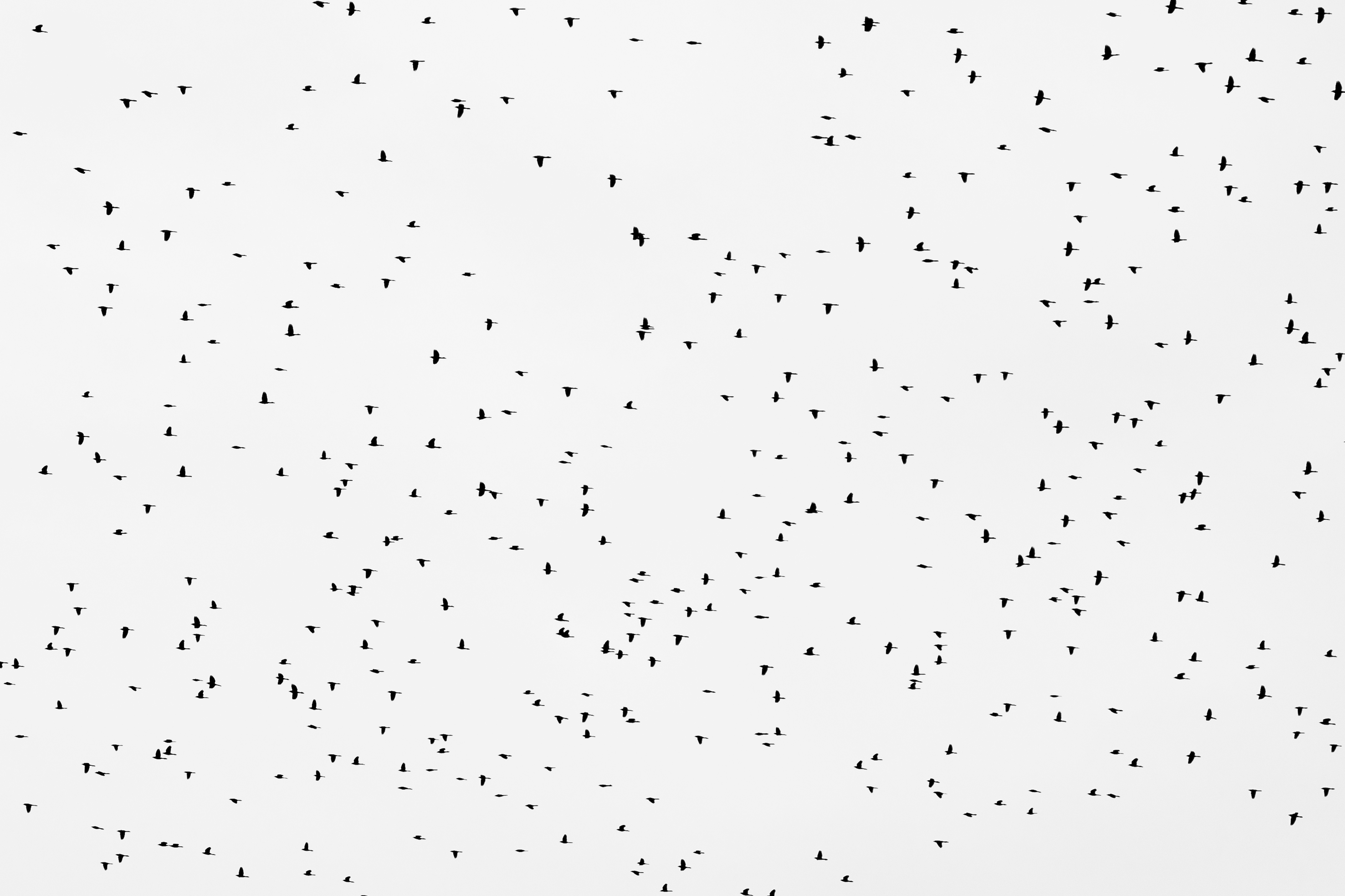 Descifré cómo 23 empresas 'AI-first' realmente construyen sus productos