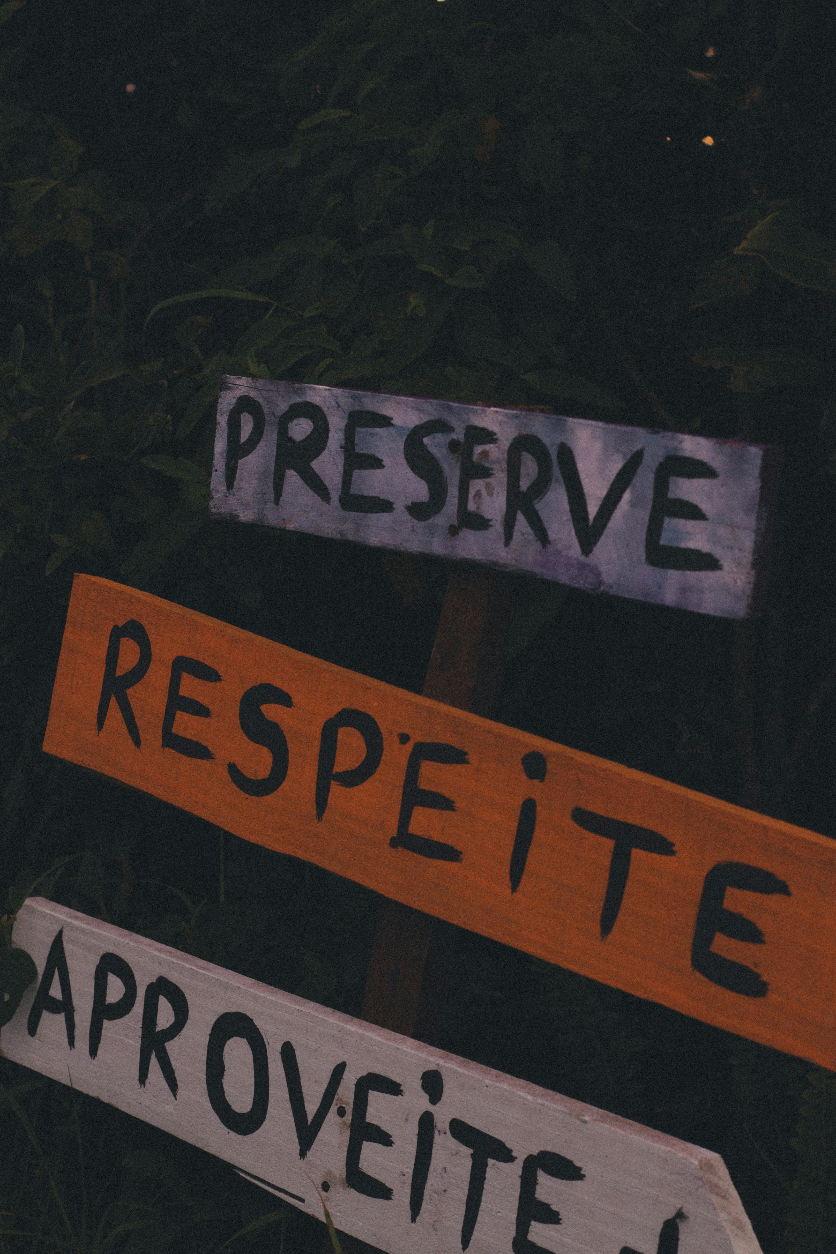 Cómo funciona realmente la solicitud y respuesta