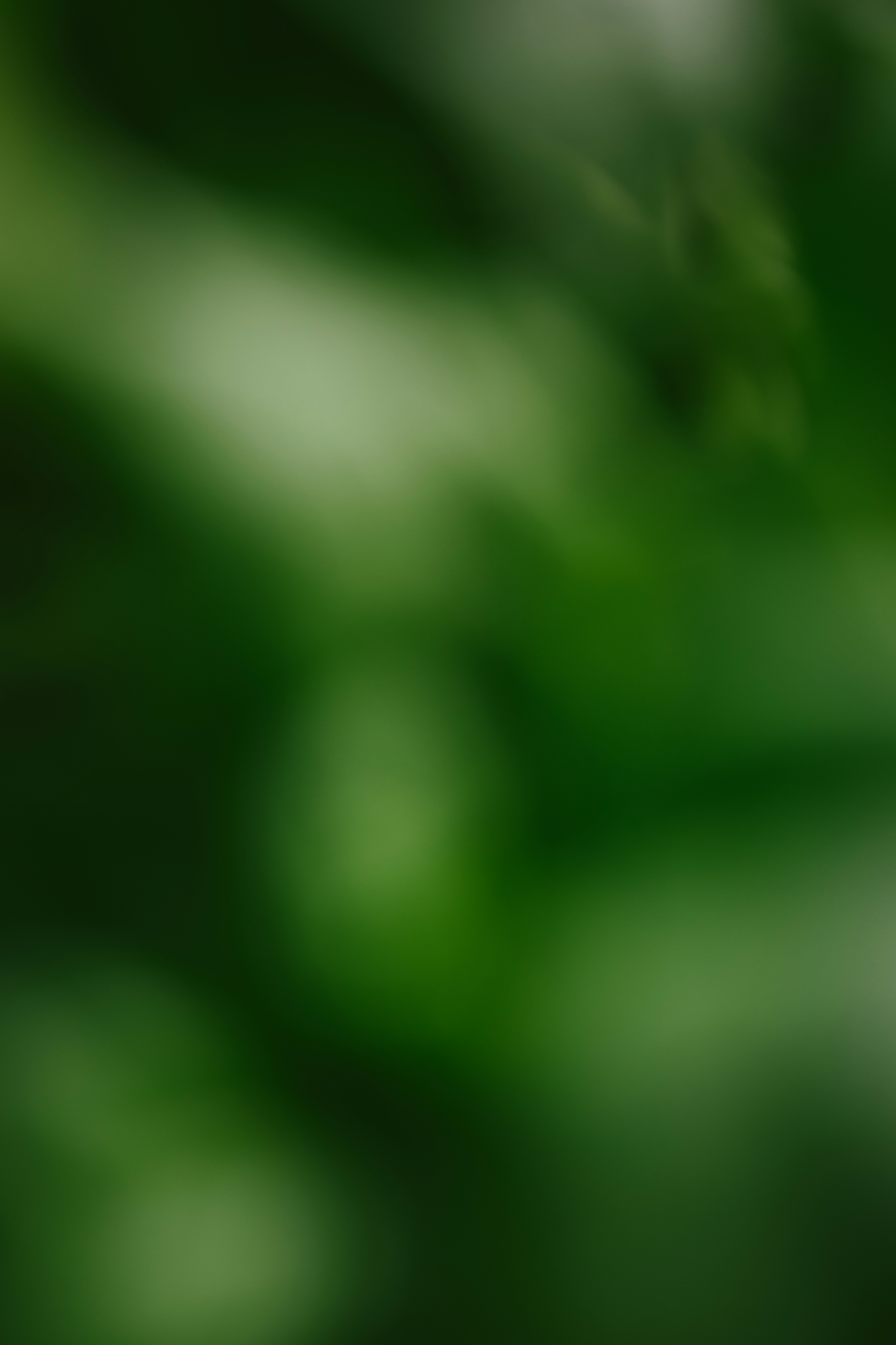 Escalé de 1K a 100M tareas sin crecimiento de memoria - aquí está la prueba criptográfica