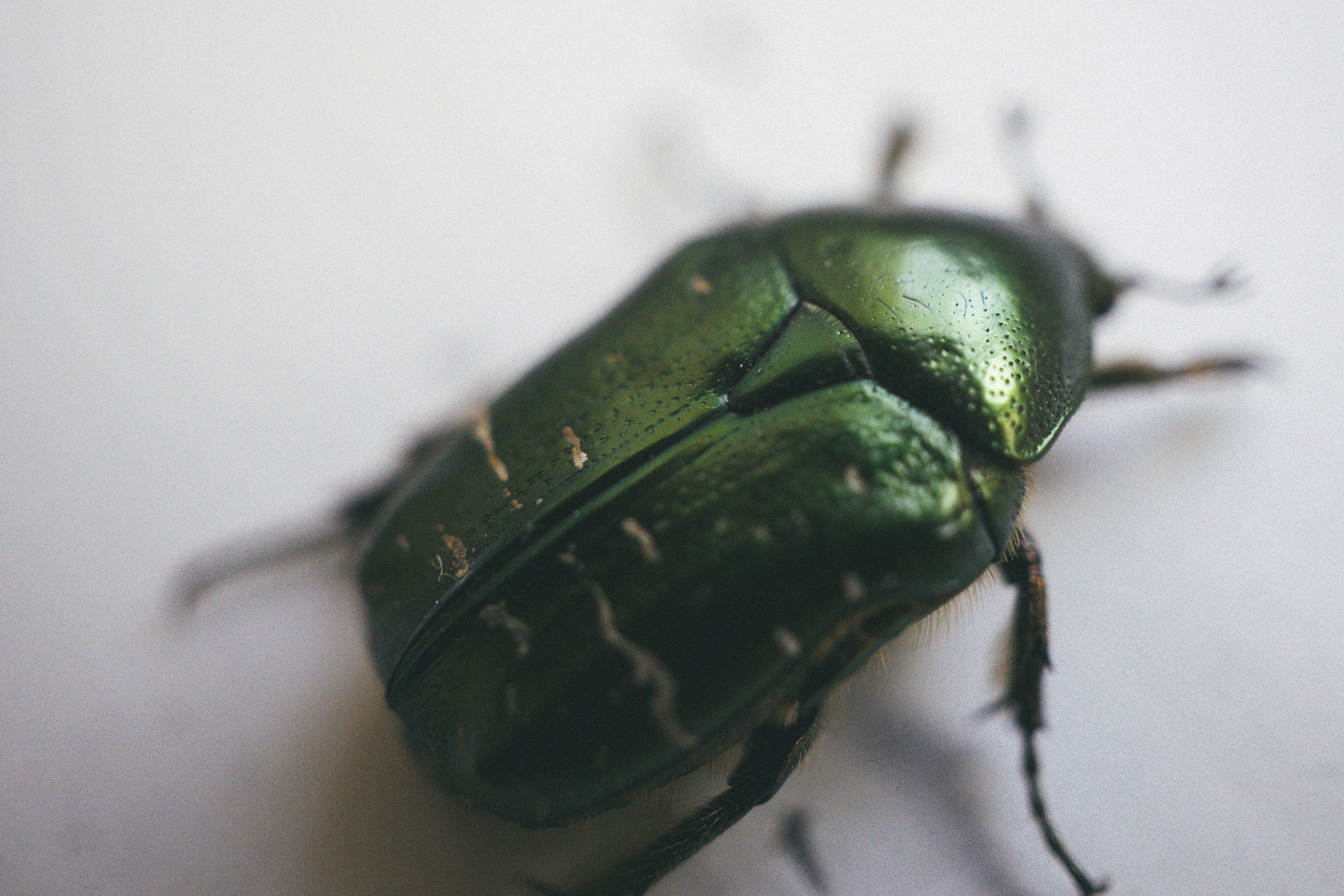 Los primeros 5 minutos de la investigación de errores: cómo hacerlo bien