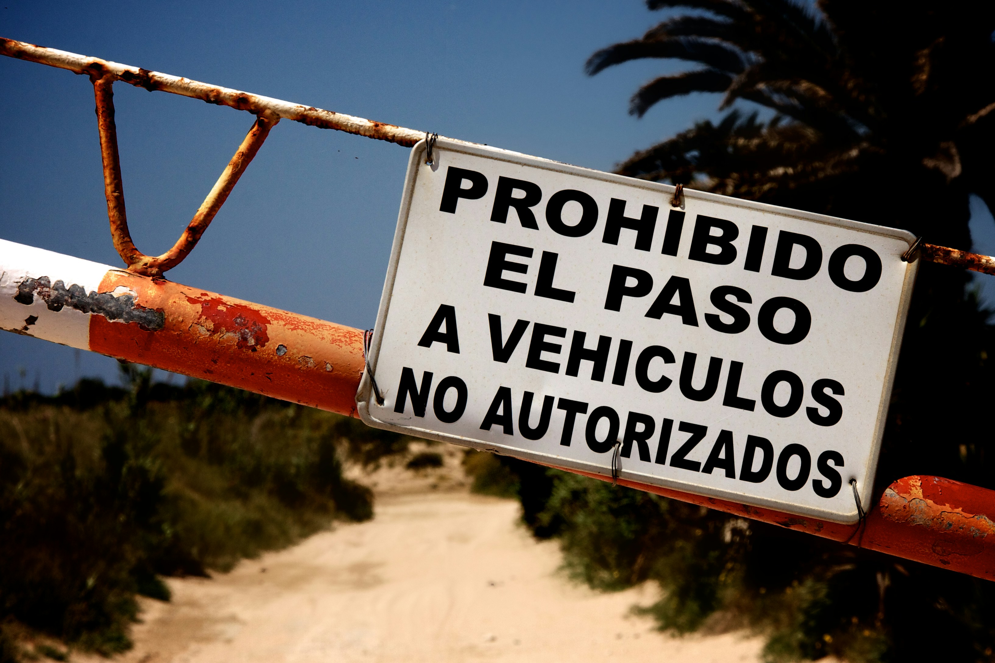 ¿Por qué la auto destilación (a veces) degrada la capacidad de razonamiento de los LLMs?