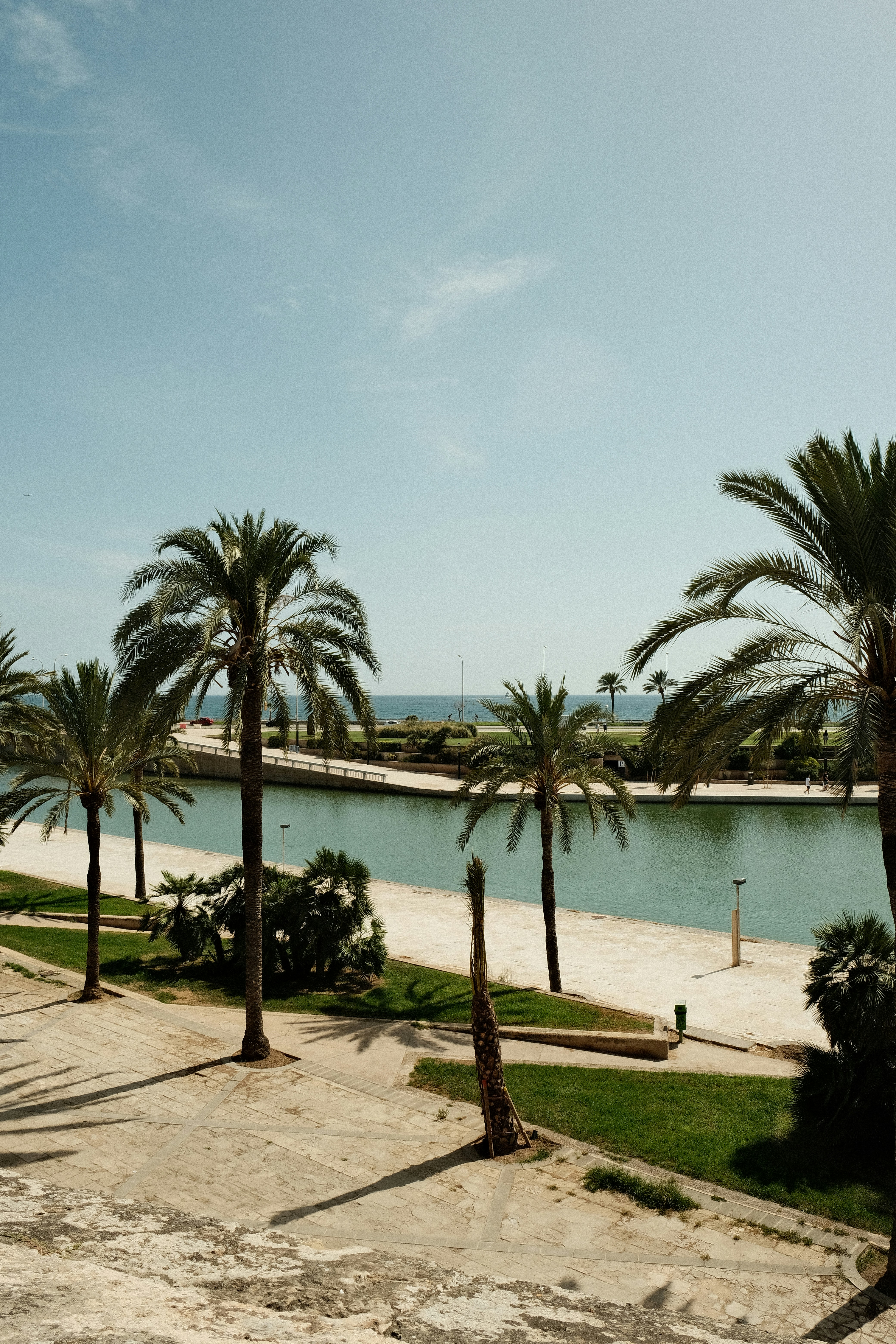 IA para empresa de atención al cliente en Palma