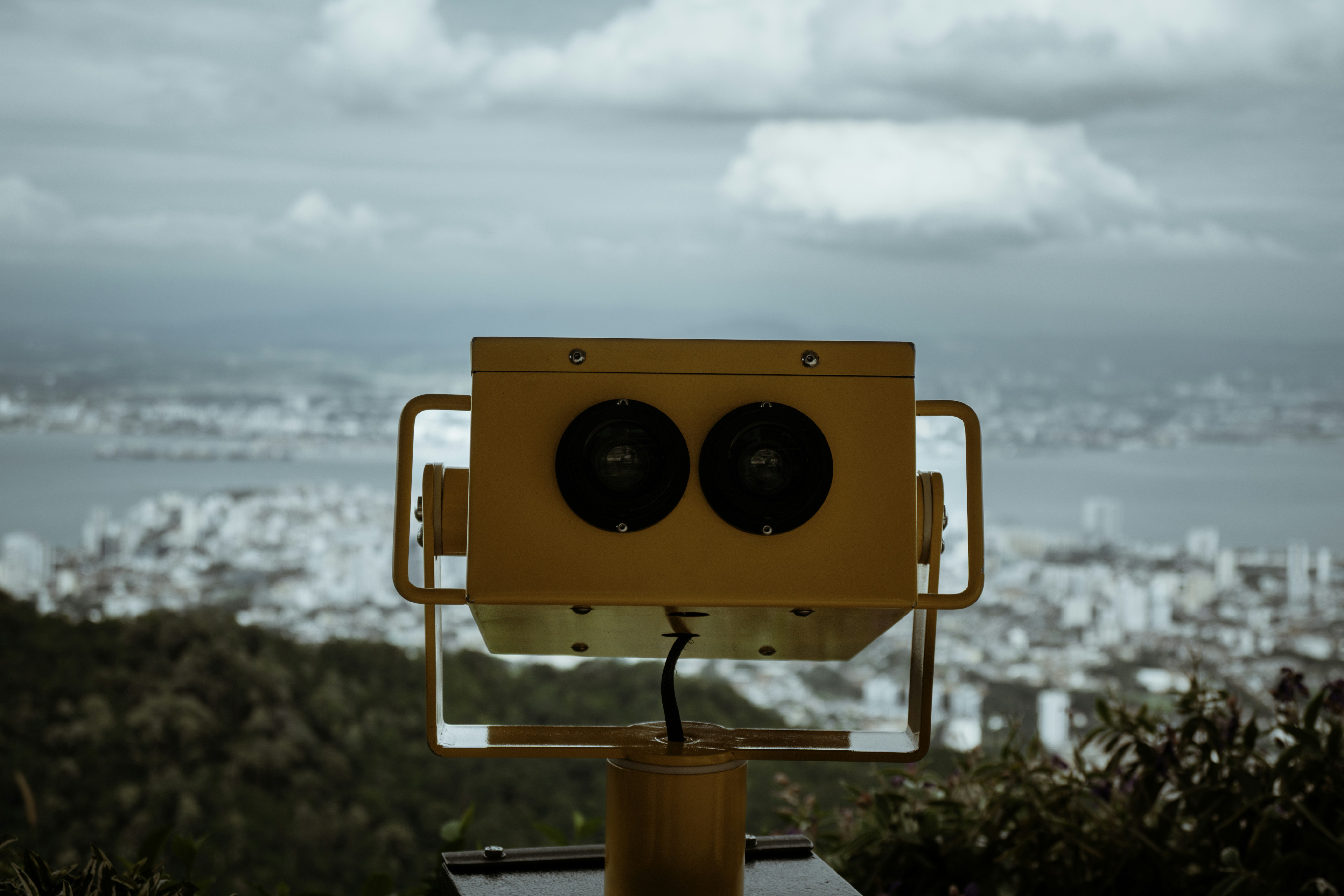 Inteligencia artificial en Las Palmas