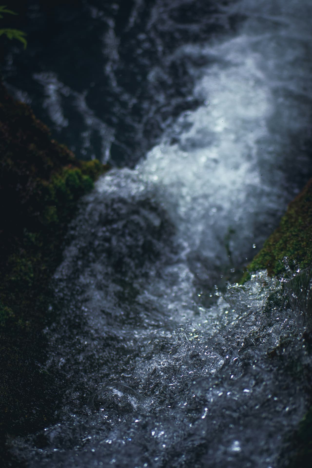 IA y la pérdida del flujo