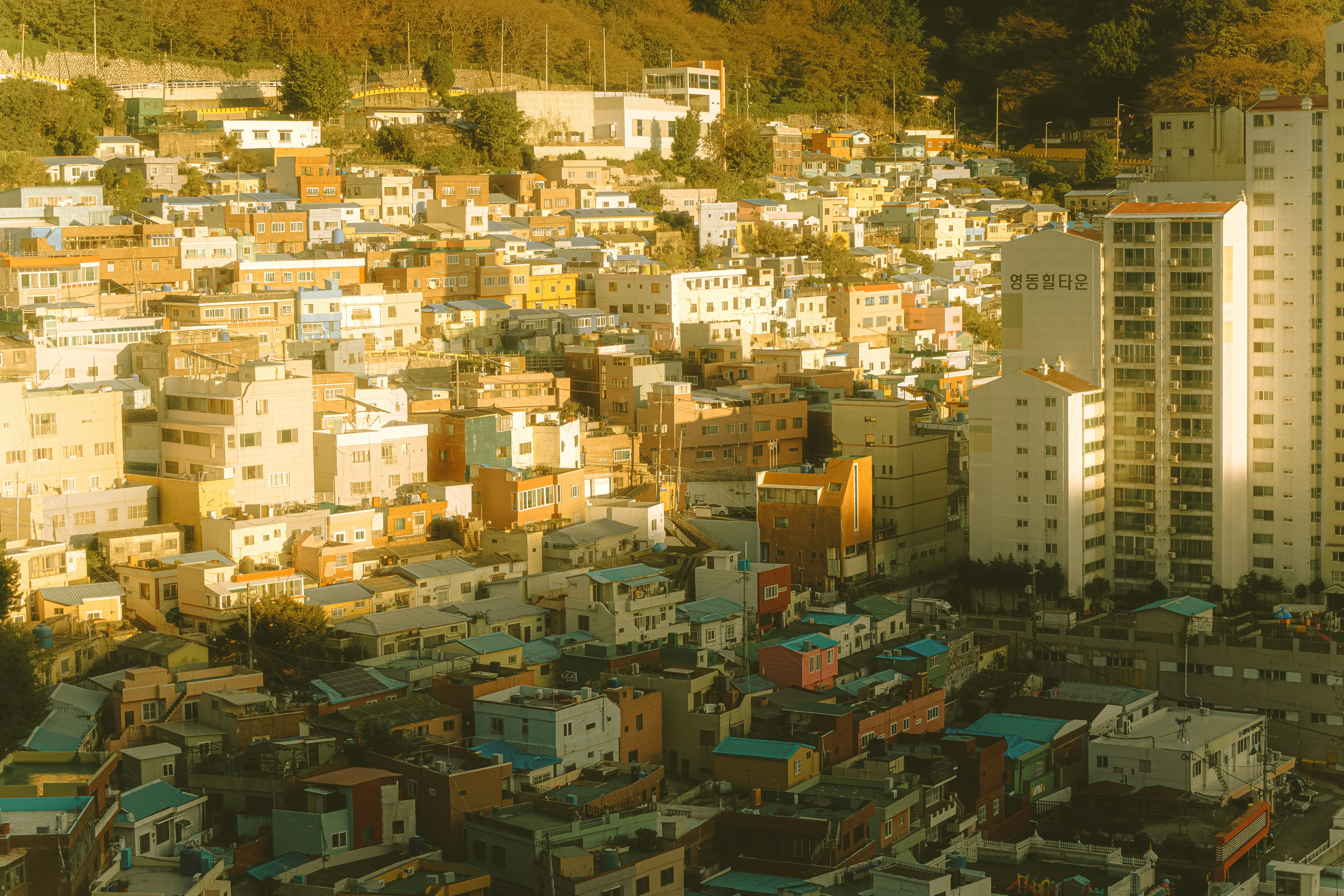 La guía definitiva para encontrar inteligencia artificial en Puerto de la Cruz