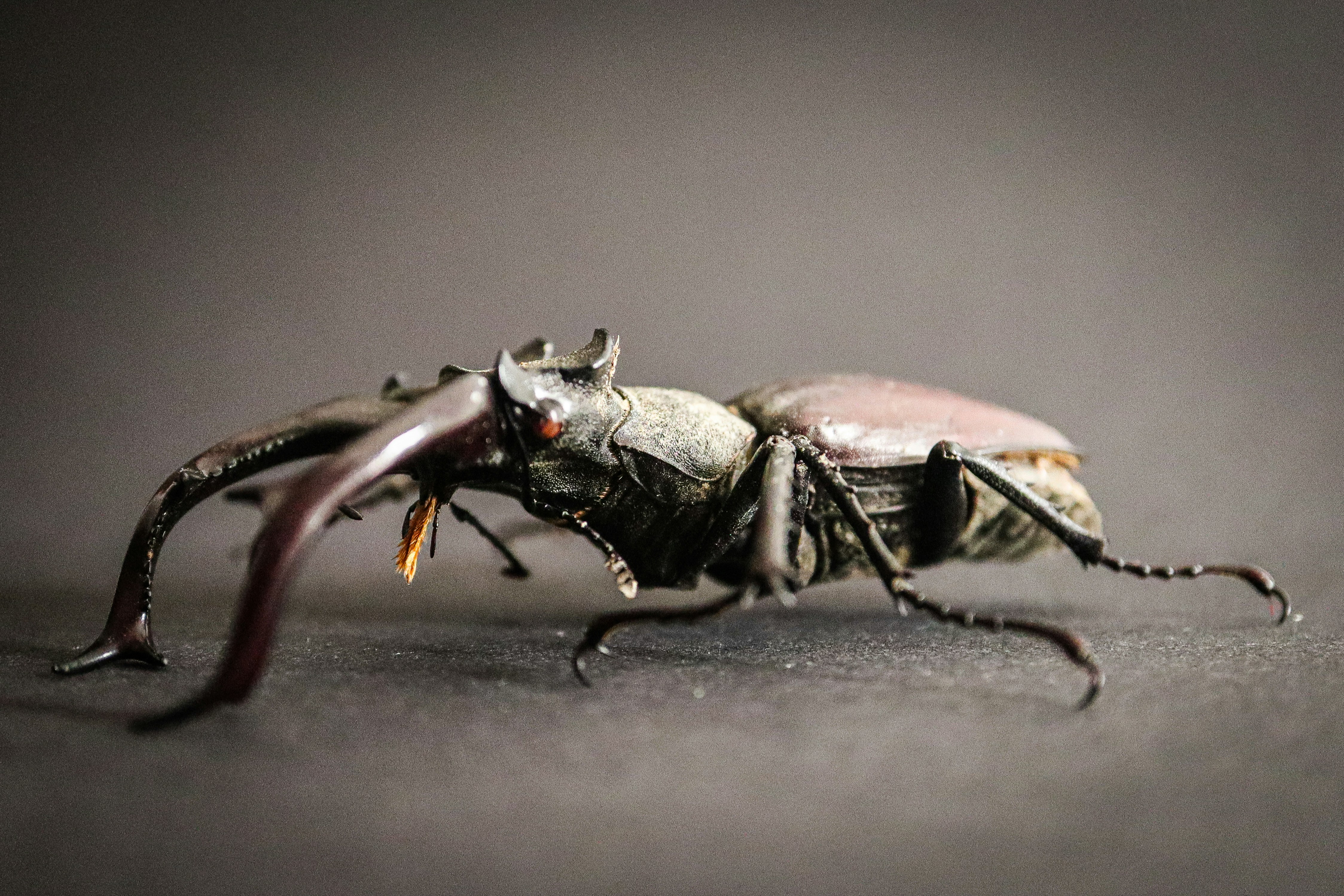 Por qué los linters tradicionales pasan por alto errores críticos (y qué puede hacer la inteligencia artificial al respecto)