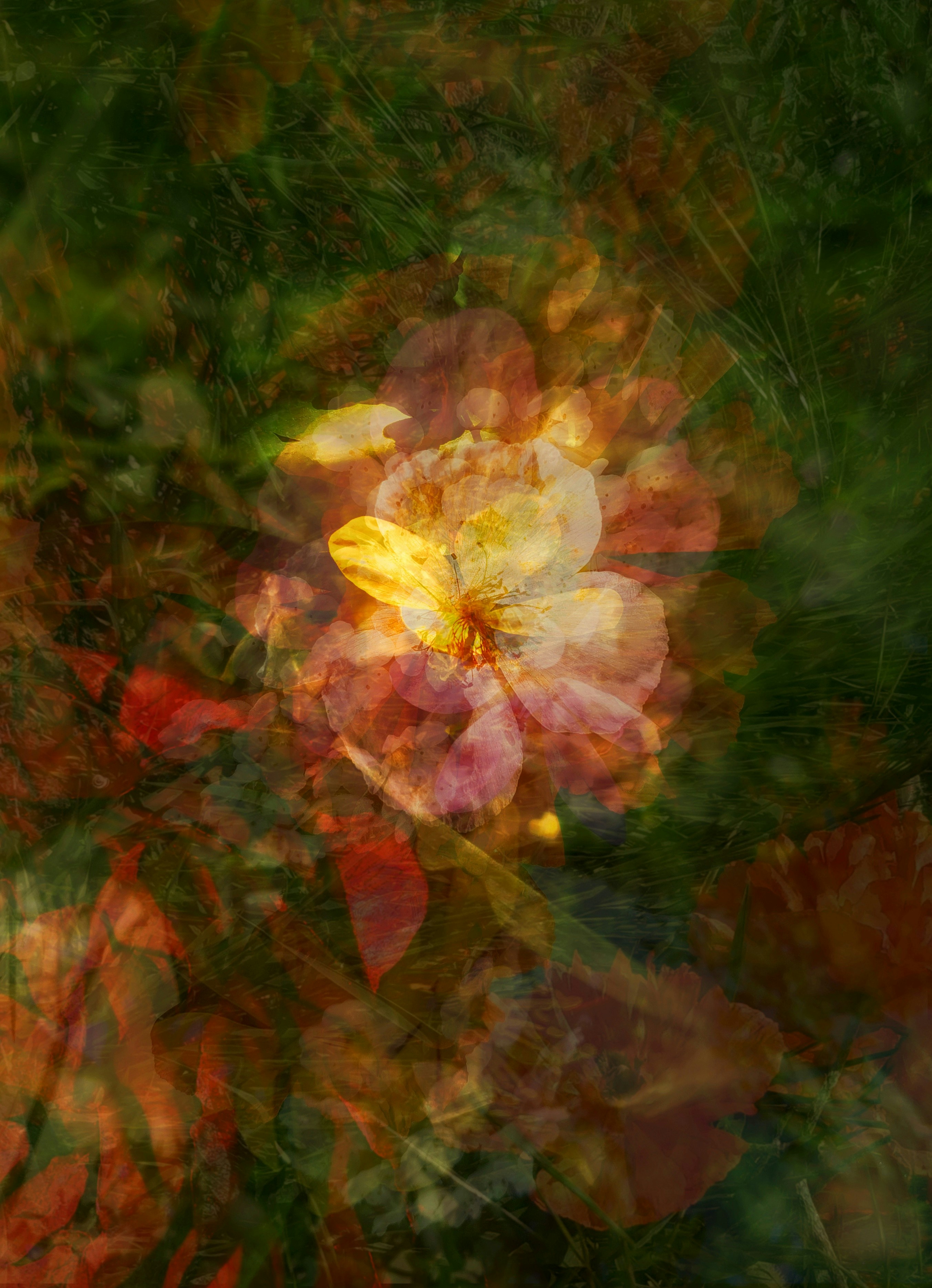 De la imagen a la poesía generada por IA en minutos